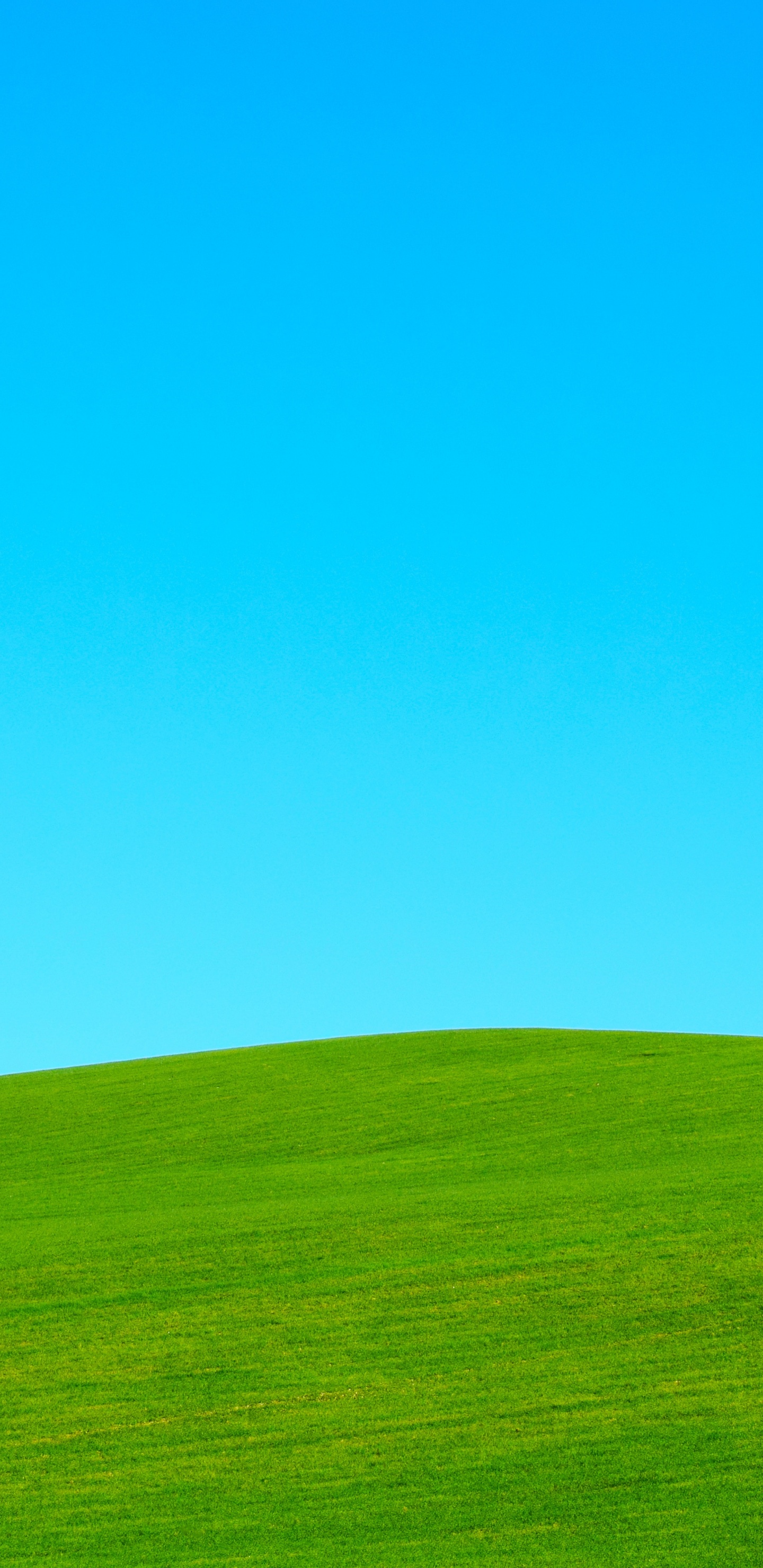 Green Grass Field Under Blue Sky During Daytime. Wallpaper in 1440x2960 Resolution