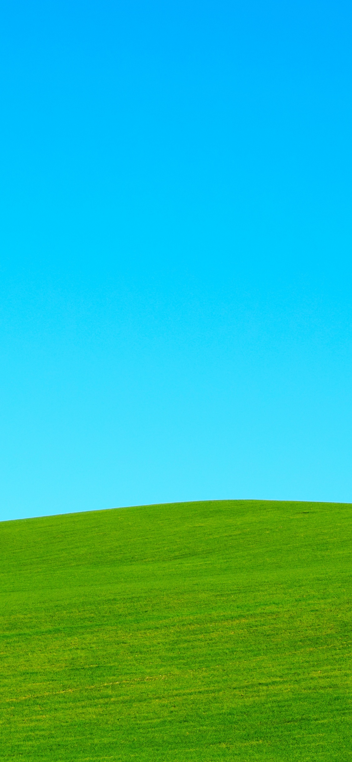 天空, 自然环境, 自然景观, 草, 绿色的 壁纸 1125x2436 允许