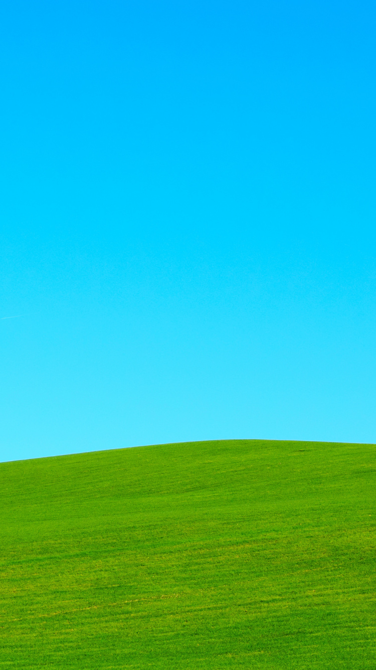 天空, 自然环境, 自然景观, 草, 绿色的 壁纸 750x1334 允许