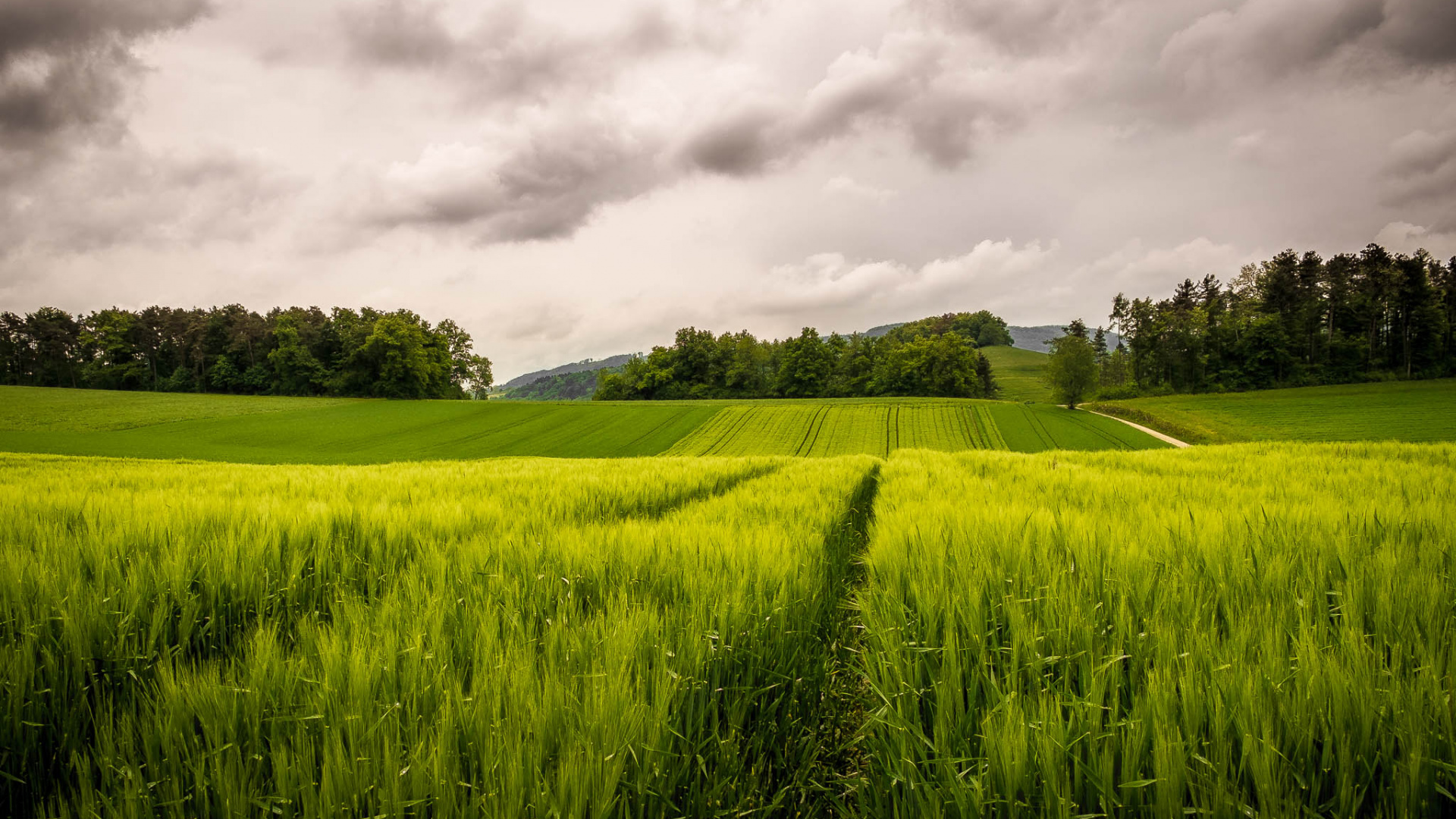 Tagsüber Grüne Wiese Unter Bewölktem Himmel. Wallpaper in 1920x1080 Resolution
