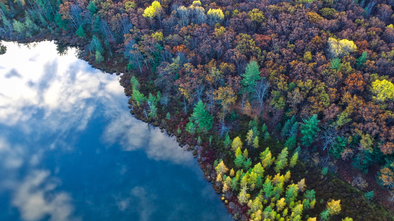 Nature, Végétation, Eau, Biome, Rivière. Wallpaper in 1280x720 Resolution