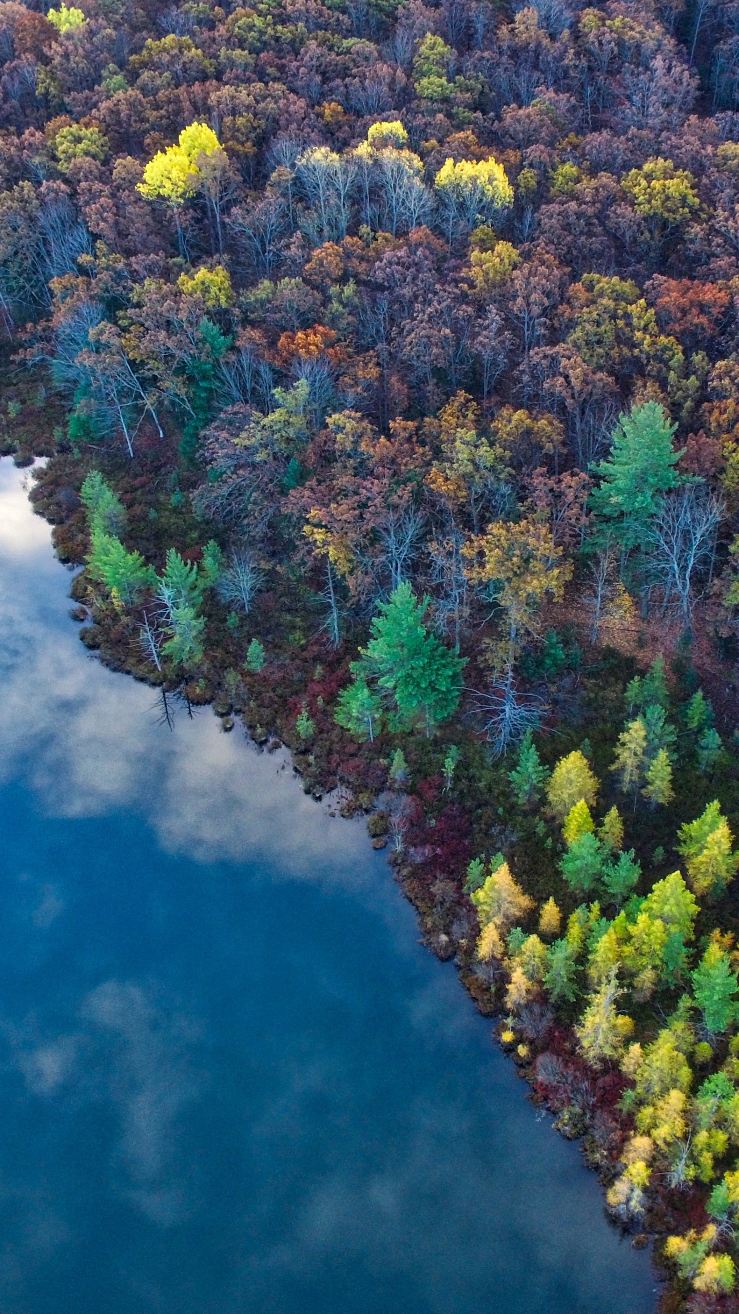 Nature, Végétation, Eau, Biome, Rivière. Wallpaper in 1440x2560 Resolution