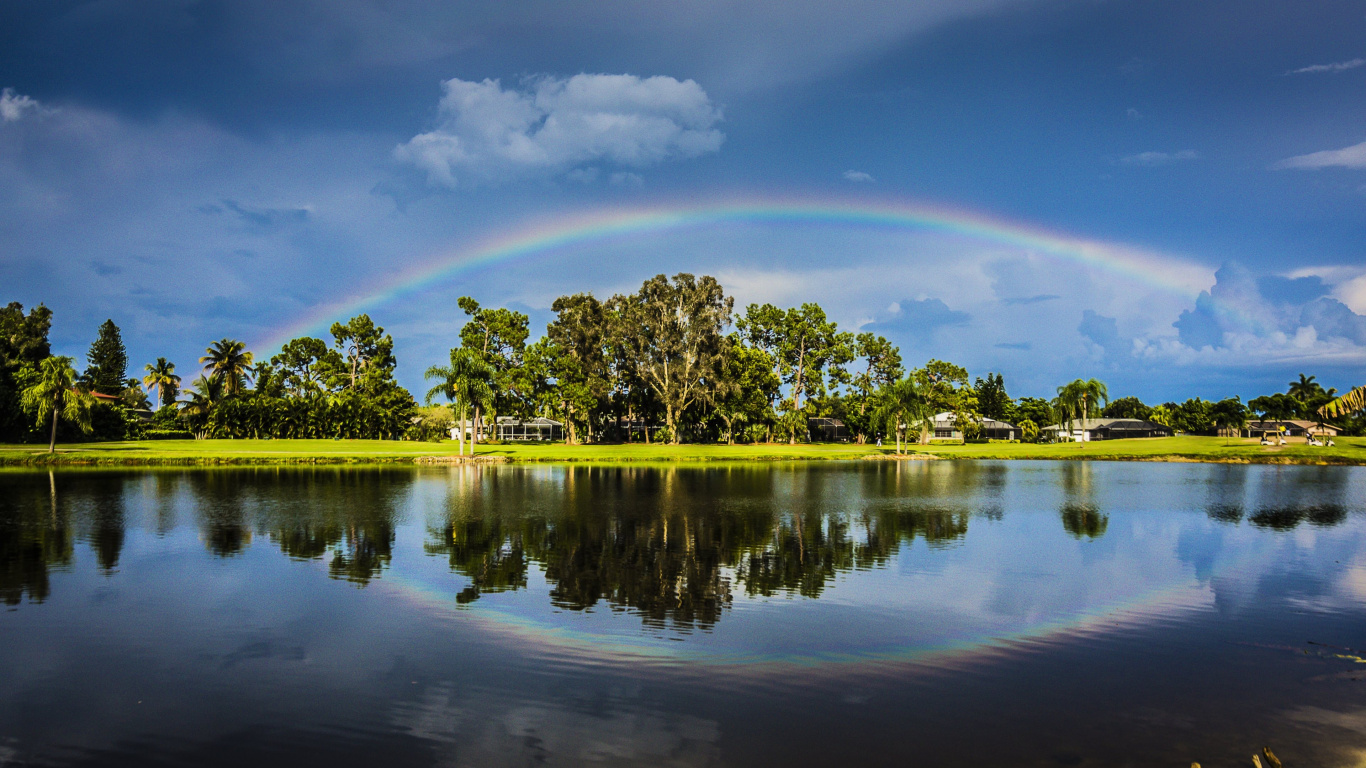 Arbres Verts à Côté D'un Plan D'eau Sous un Ciel Bleu Pendant la Journée. Wallpaper in 1366x768 Resolution