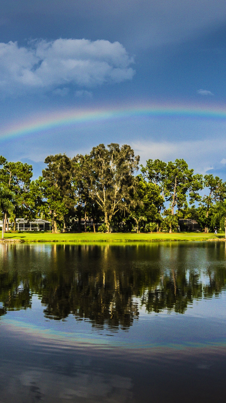 Arbres Verts à Côté D'un Plan D'eau Sous un Ciel Bleu Pendant la Journée. Wallpaper in 750x1334 Resolution