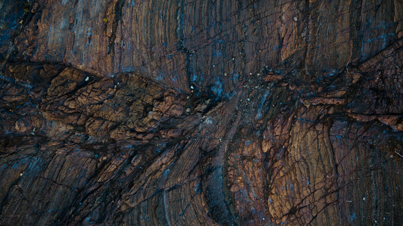 Tronc D'arbre Marron et Noir. Wallpaper in 1366x768 Resolution