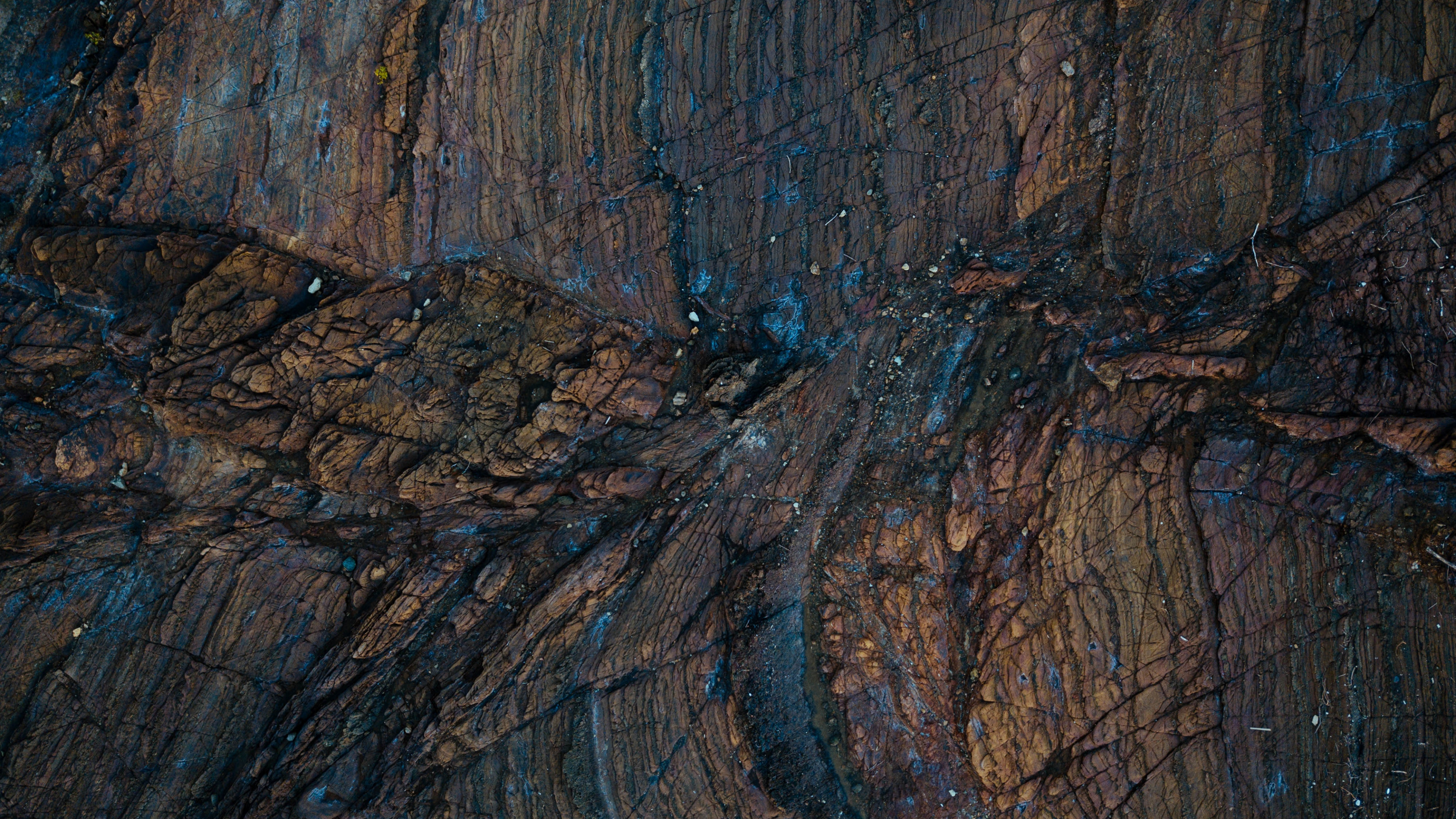 Tronco de Árbol Marrón y Negro. Wallpaper in 3840x2160 Resolution