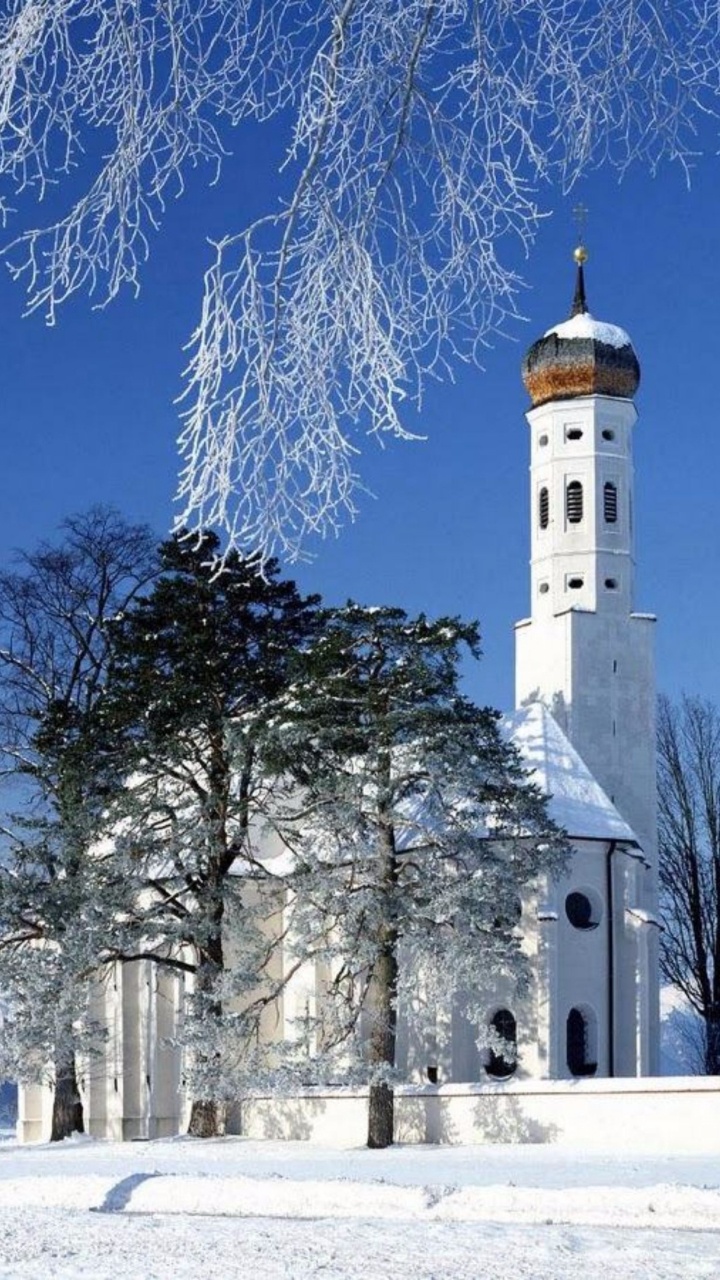 White and Brown Concrete Building Near Trees During Daytime. Wallpaper in 720x1280 Resolution