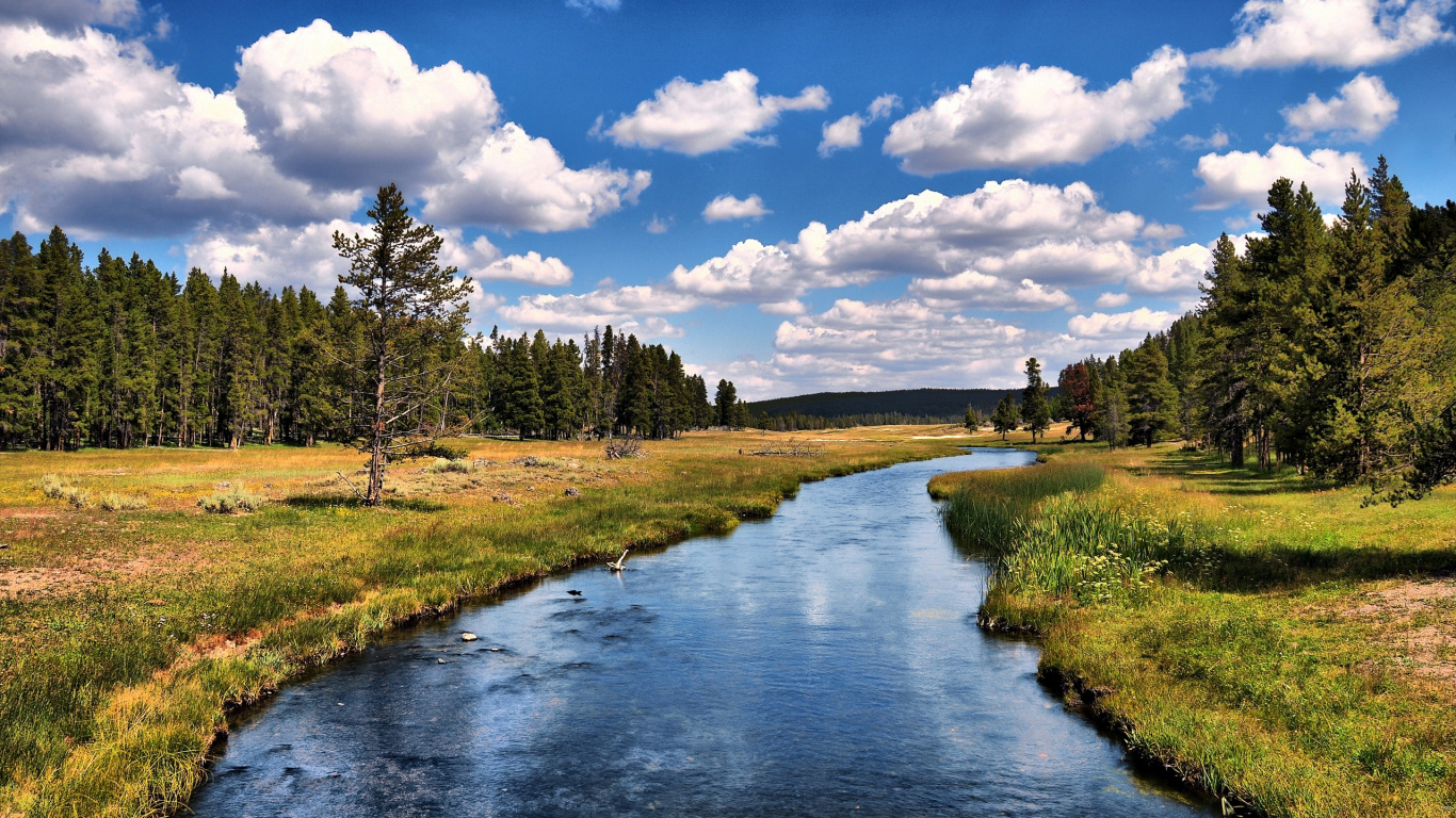Champ D'herbe Verte Près de la Rivière Sous un Ciel Bleu Pendant la Journée. Wallpaper in 1366x768 Resolution