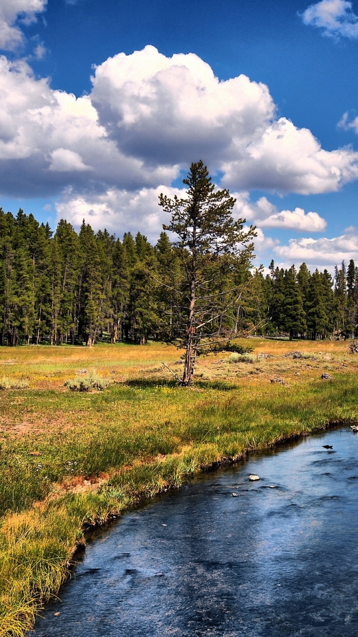 Grüne Wiese in Der Nähe Des Flusses Unter Blauem Himmel Tagsüber Sky. Wallpaper in 720x1280 Resolution