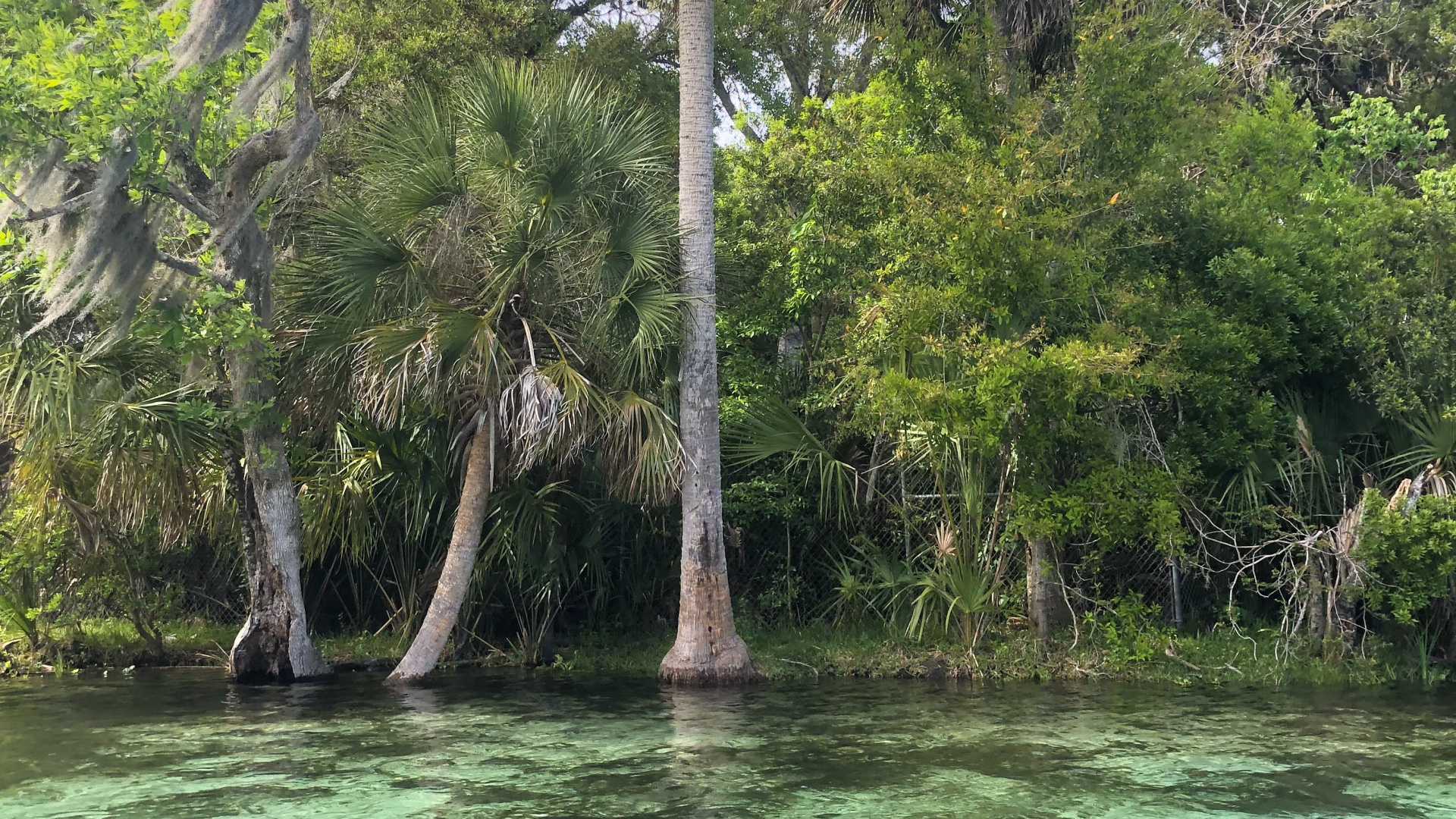 Vegetation, Gewässer, Natur, Naturlandschaft, Wasserressourcen. Wallpaper in 1920x1080 Resolution