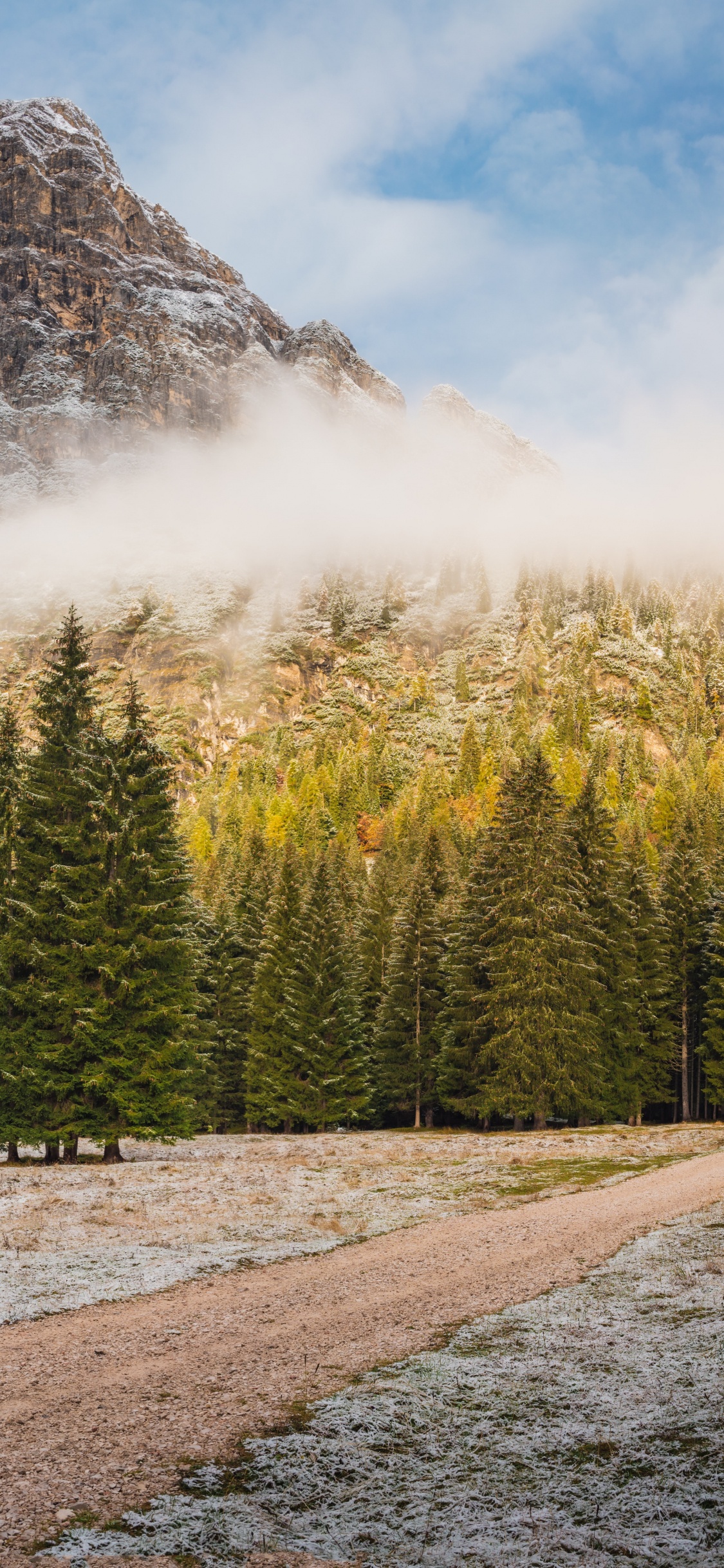 Natur, Brand Home Farbteppich Block 018, Cloud, Naturlandschaft, Lärche. Wallpaper in 1125x2436 Resolution