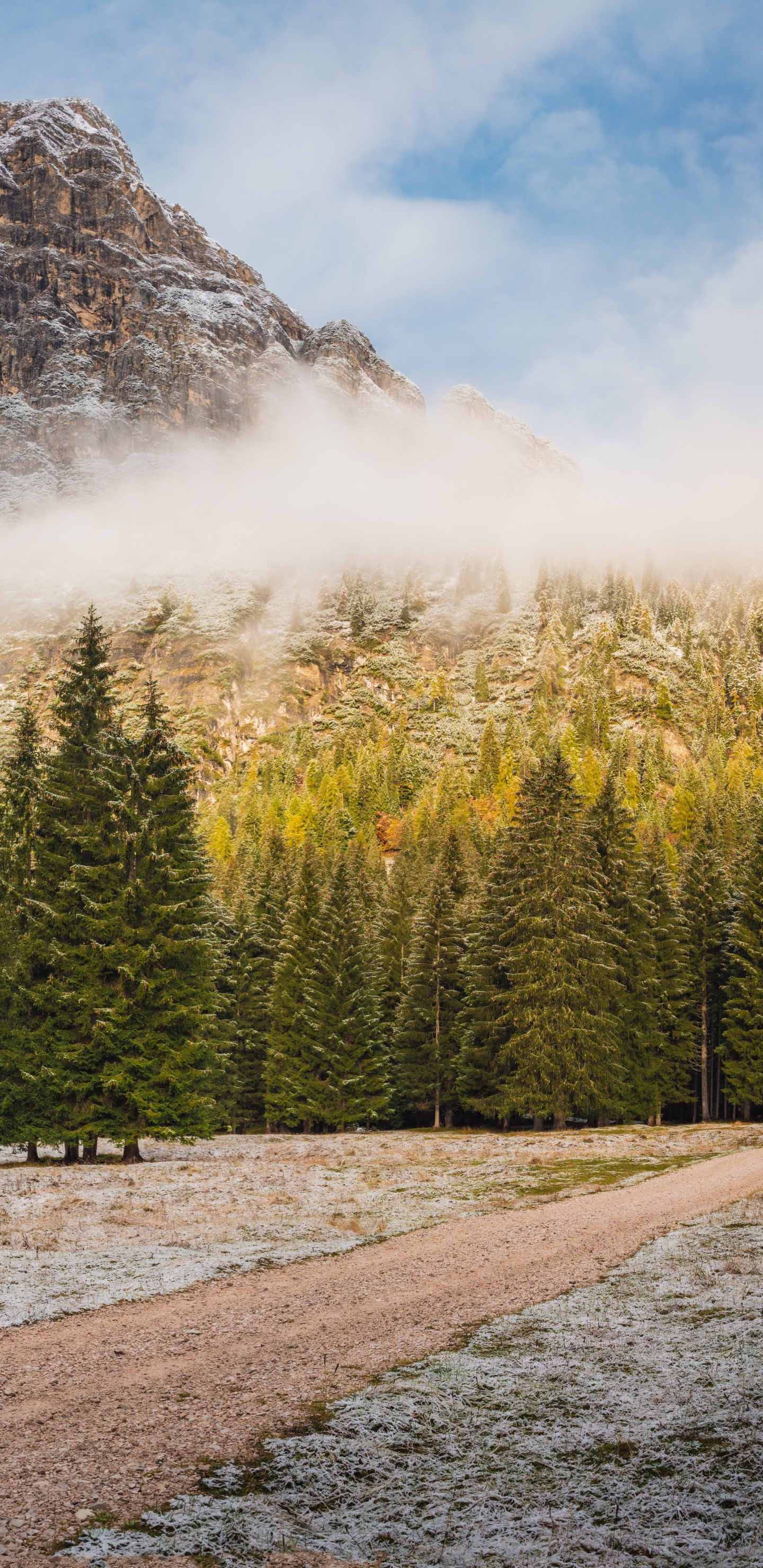 Natur, Brand Home Farbteppich Block 018, Cloud, Naturlandschaft, Lärche. Wallpaper in 1440x2960 Resolution