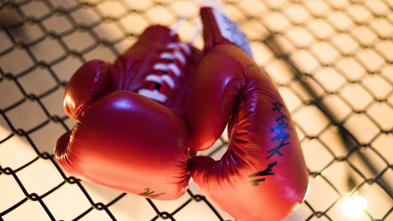 Roter Und Blauer Aufblasbarer Ballon. Wallpaper in 1366x768 Resolution