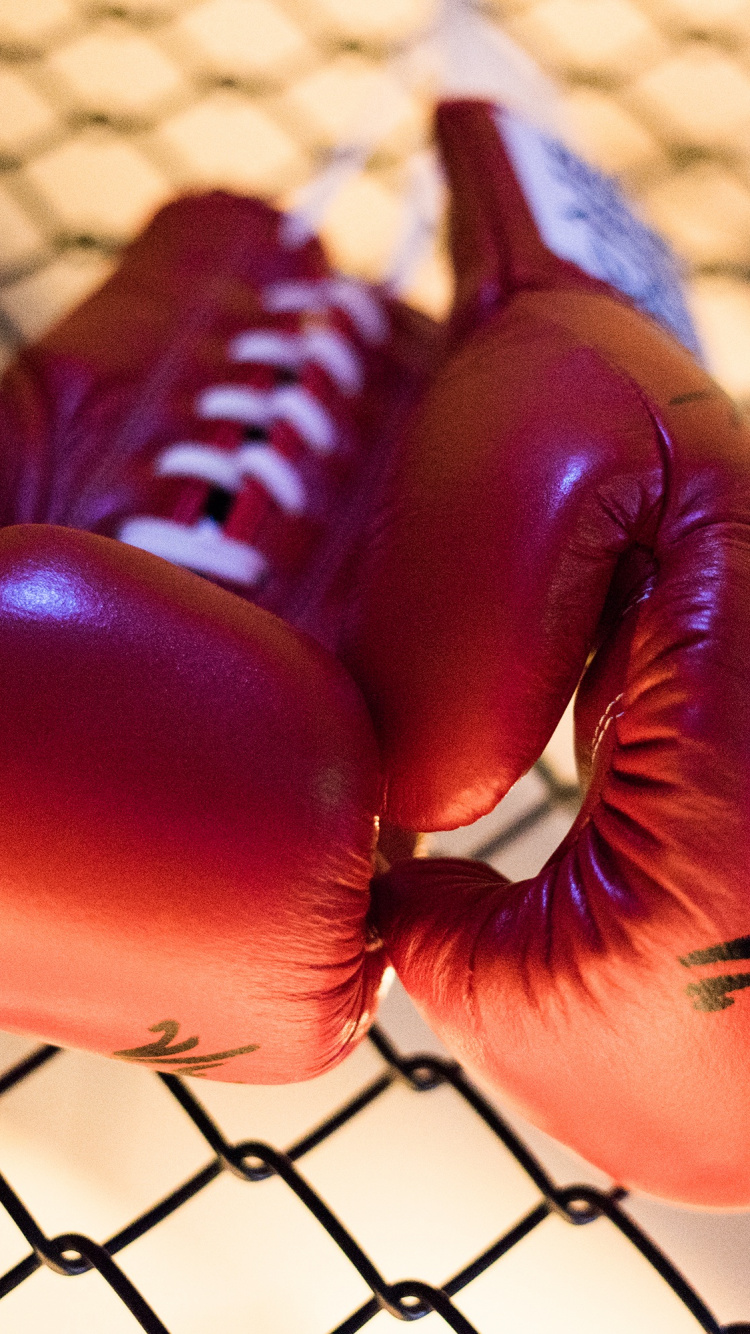 Red and Blue Inflatable Balloon. Wallpaper in 750x1334 Resolution