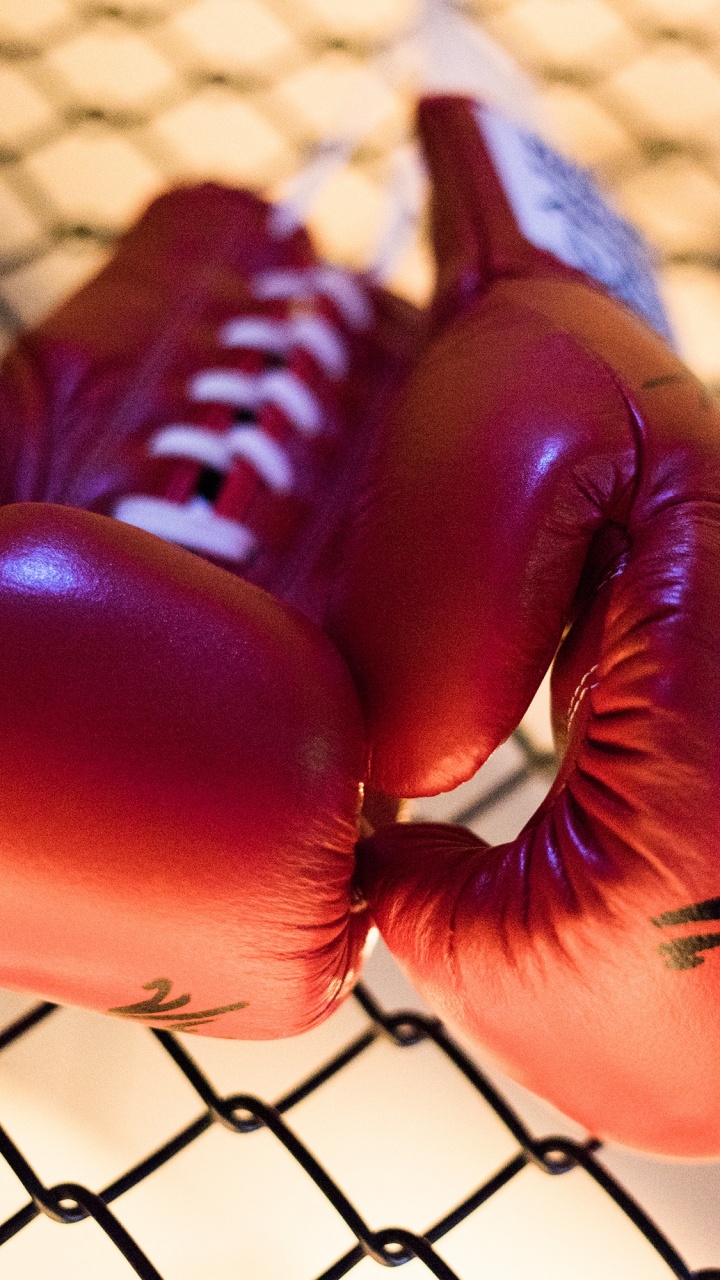 拳击, 拳击手套, 手套, 新闻, 战斗 壁纸 720x1280 允许