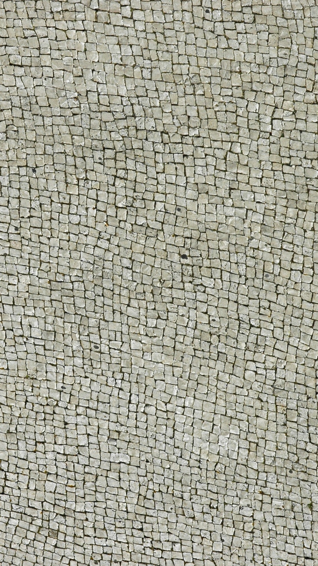 Textile Gris Aux Cheveux Noirs. Wallpaper in 1080x1920 Resolution