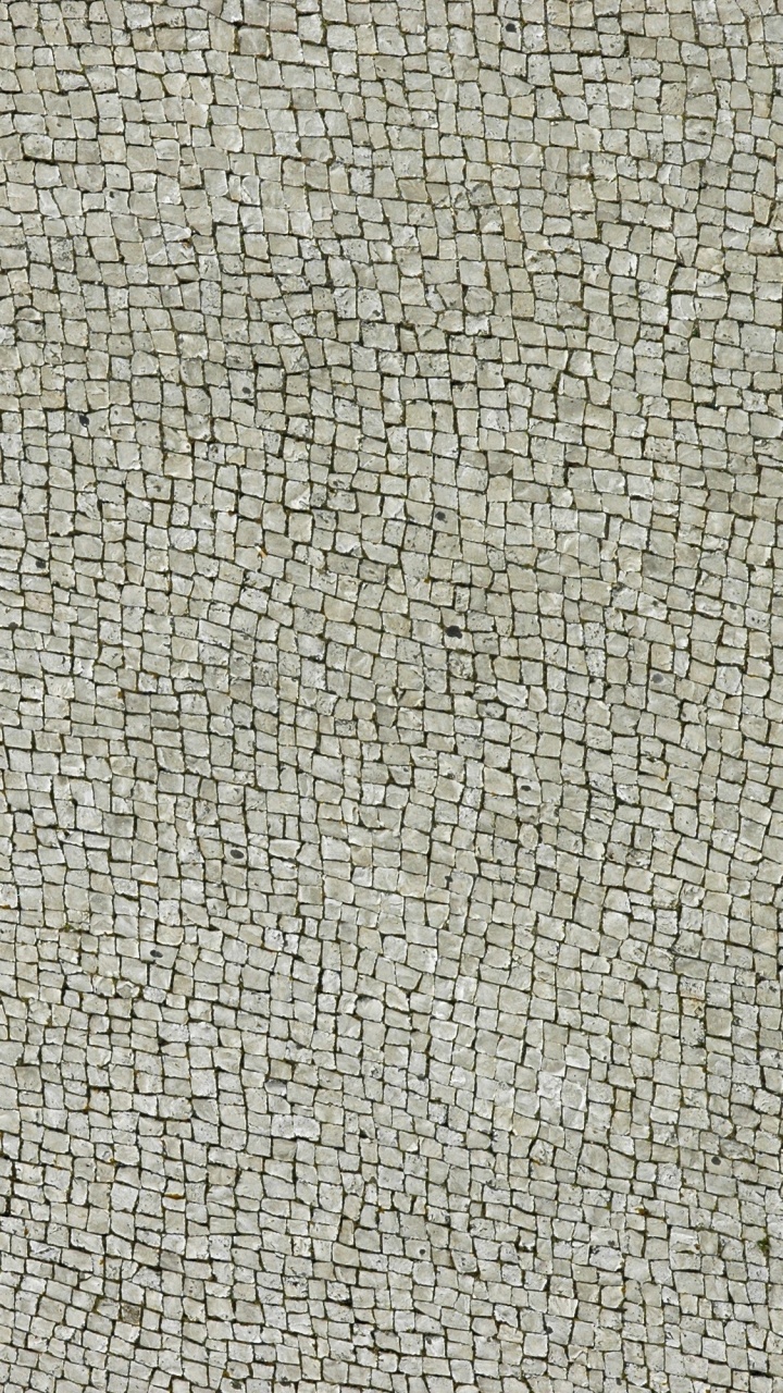 Textile Gris Aux Cheveux Noirs. Wallpaper in 720x1280 Resolution