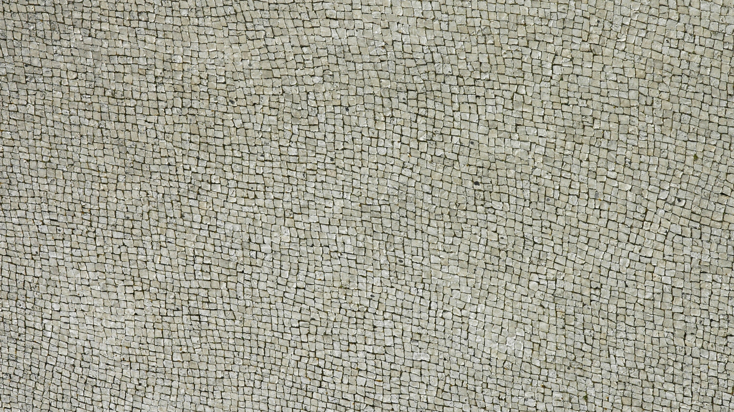Gray Textile With Black Hair. Wallpaper in 2560x1440 Resolution