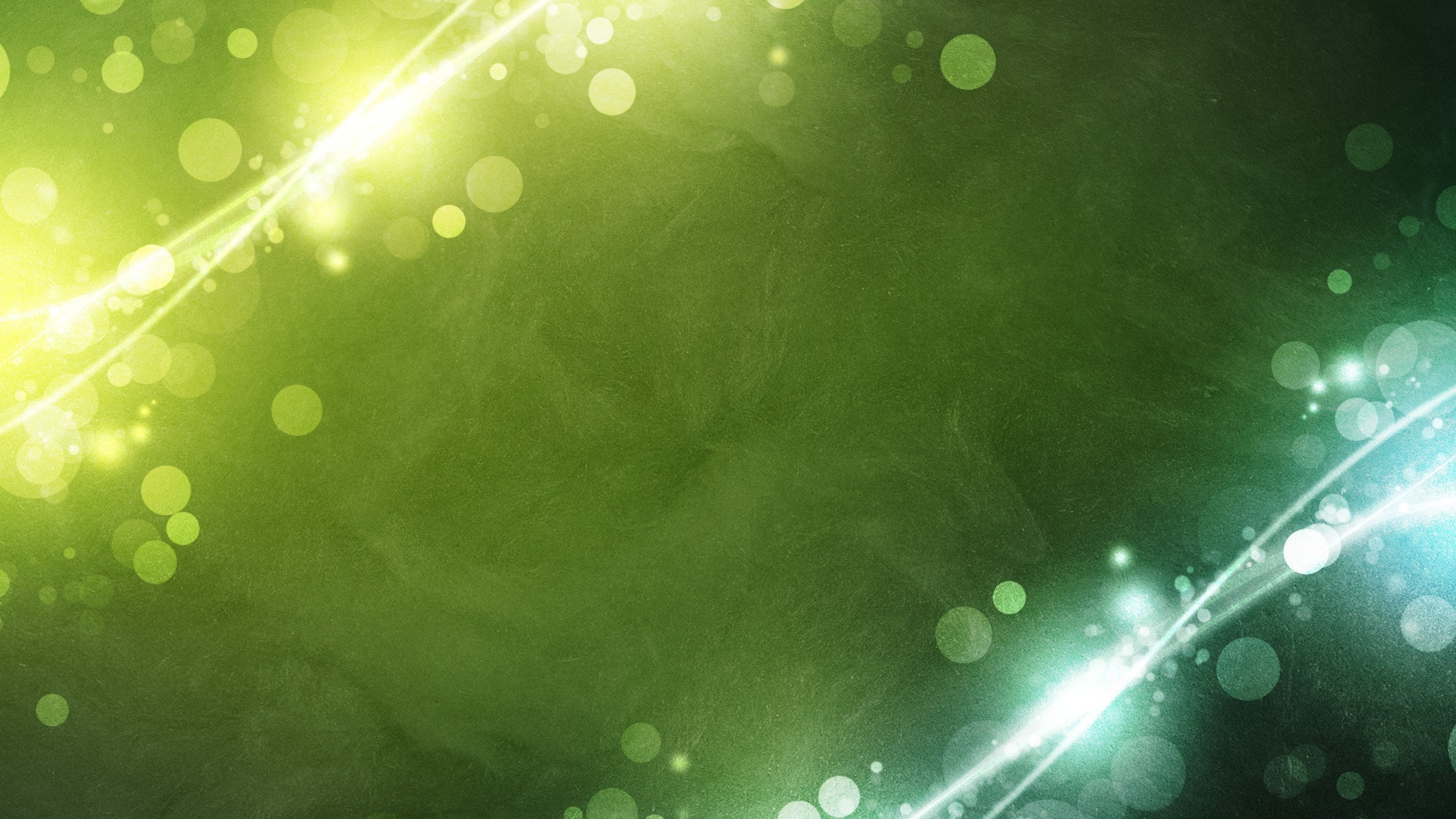 Textil Floral Verde y Blanco. Wallpaper in 2560x1440 Resolution