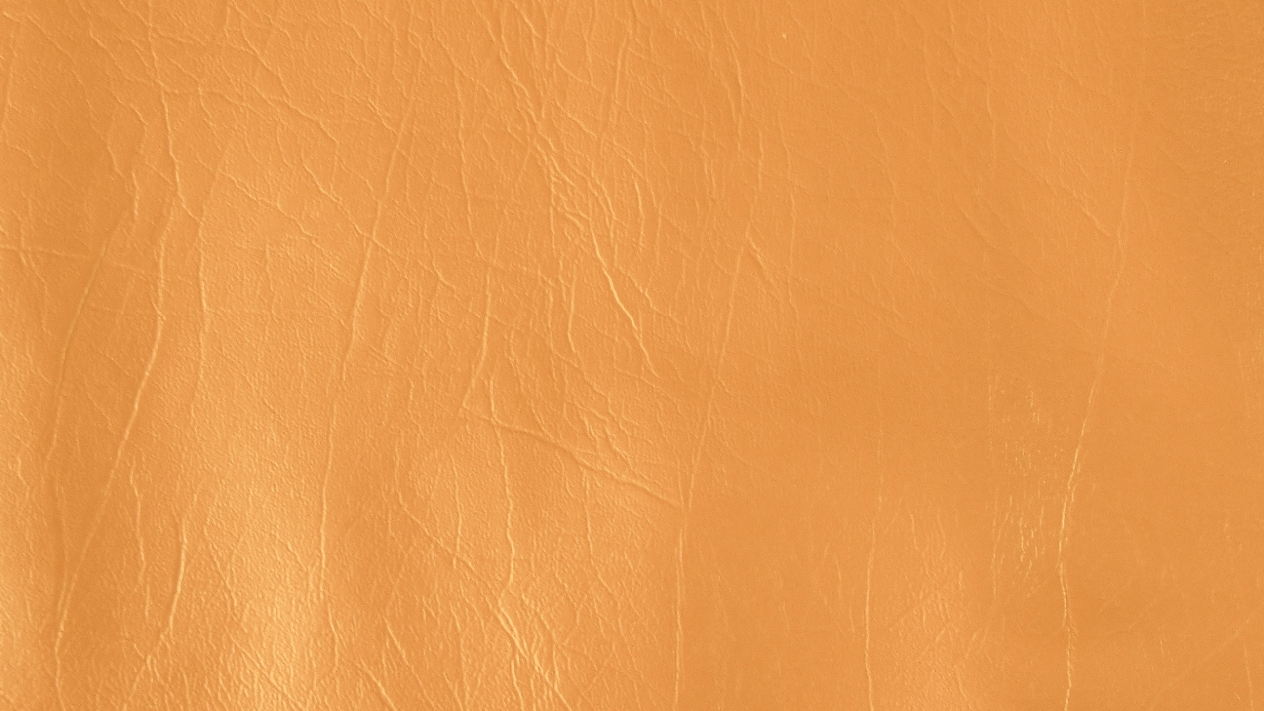 Rosa Textil Mit Schwarzen Haaren. Wallpaper in 2560x1440 Resolution