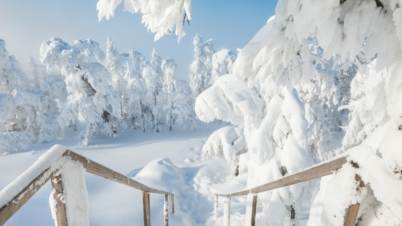 Clôture en Bois Marron Recouverte de Neige. Wallpaper in 1366x768 Resolution