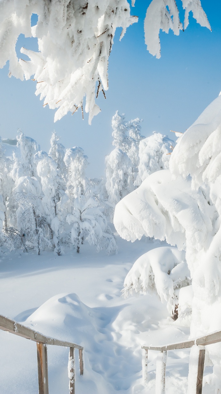 Brauner Holzzaun Mit Schnee Bedeckt. Wallpaper in 720x1280 Resolution