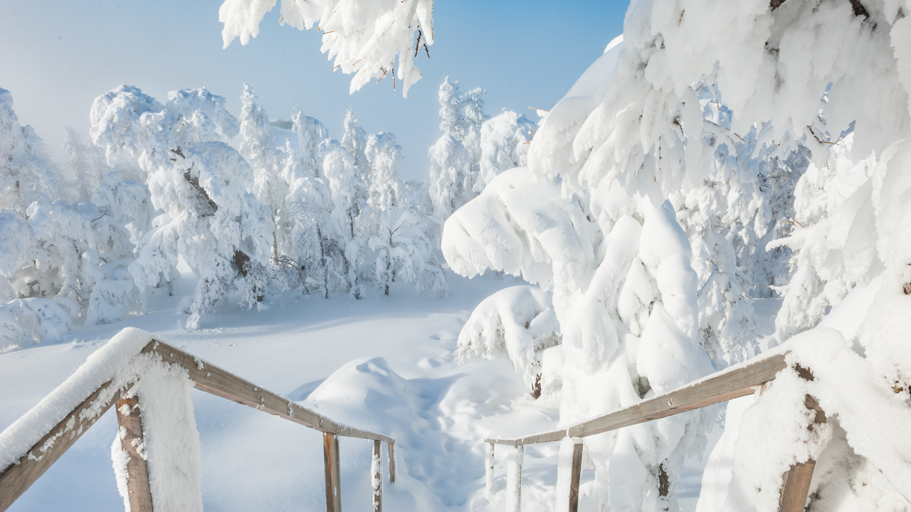 Valla de Madera Marrón Cubierta de Nieve. Wallpaper in 1280x720 Resolution