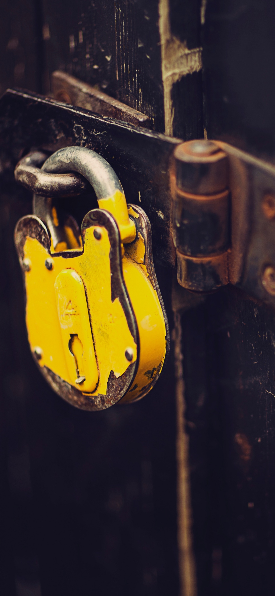 Brown Padlock on Black Wooden Door. Wallpaper in 1125x2436 Resolution