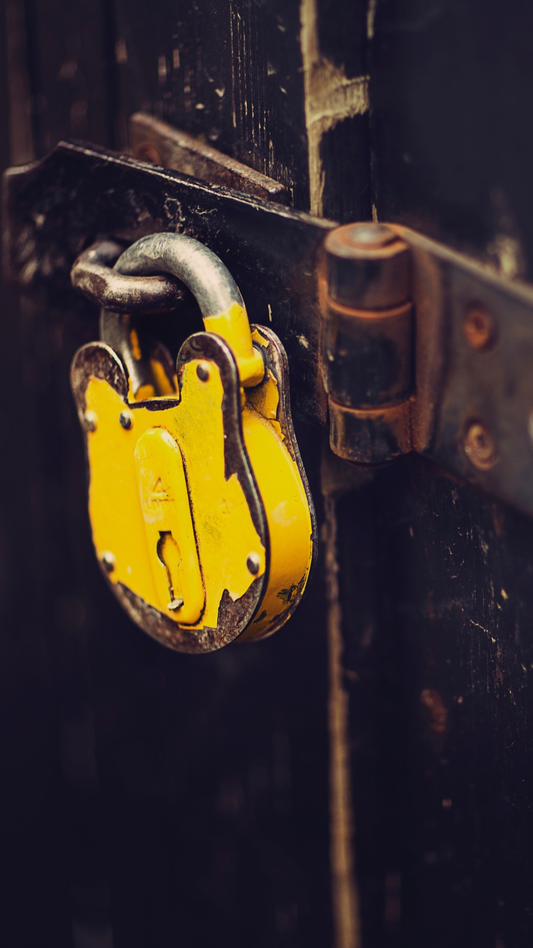 Braunes Vorhängeschloss an Schwarzer Holztür. Wallpaper in 1080x1920 Resolution