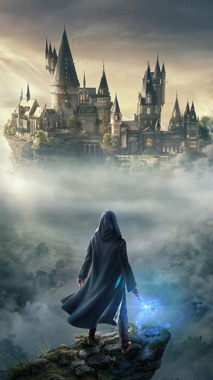 Hogwarts Legacy, J K Rowling, Harry Potter Quidditch Champions, Harry Potter, Warner Bros. Wallpaper in 720x1280 Resolution