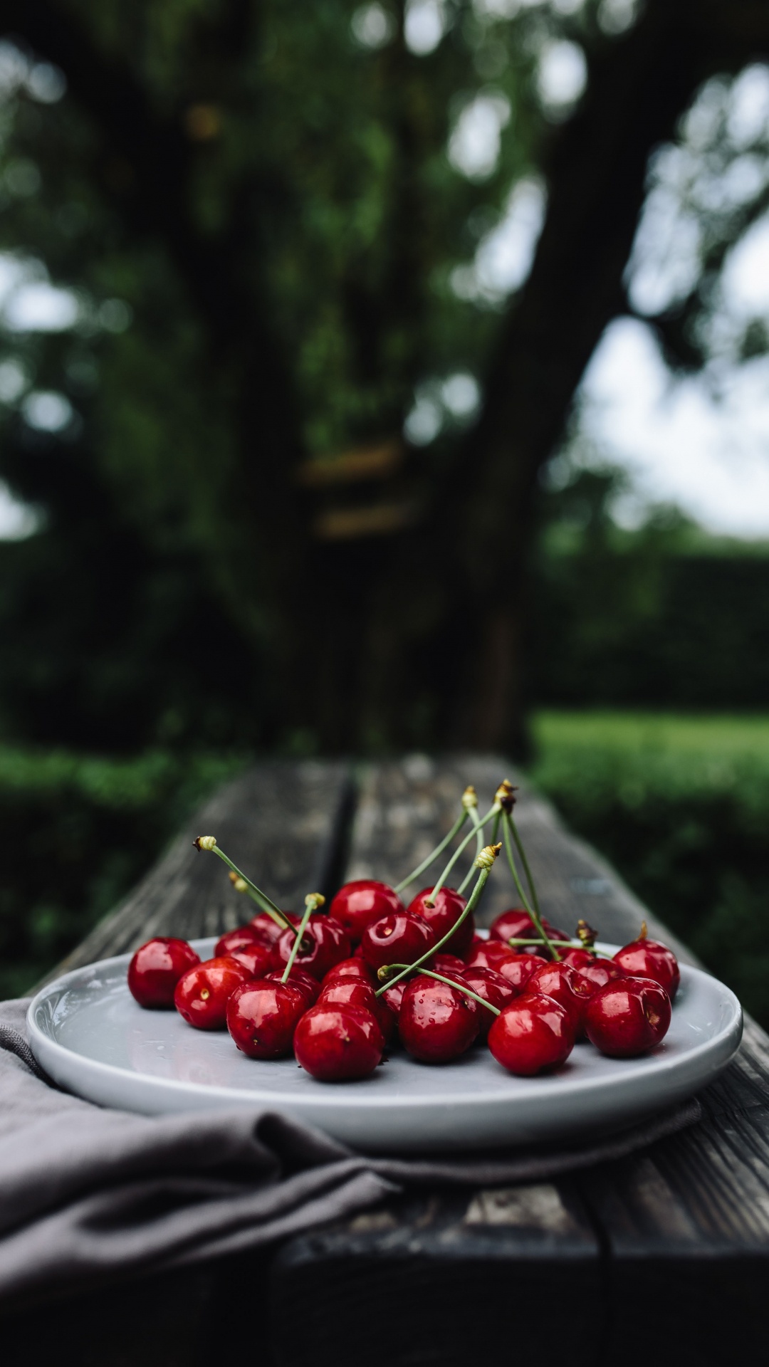 Red Cherries on White Ceramic Plate. Wallpaper in 1080x1920 Resolution