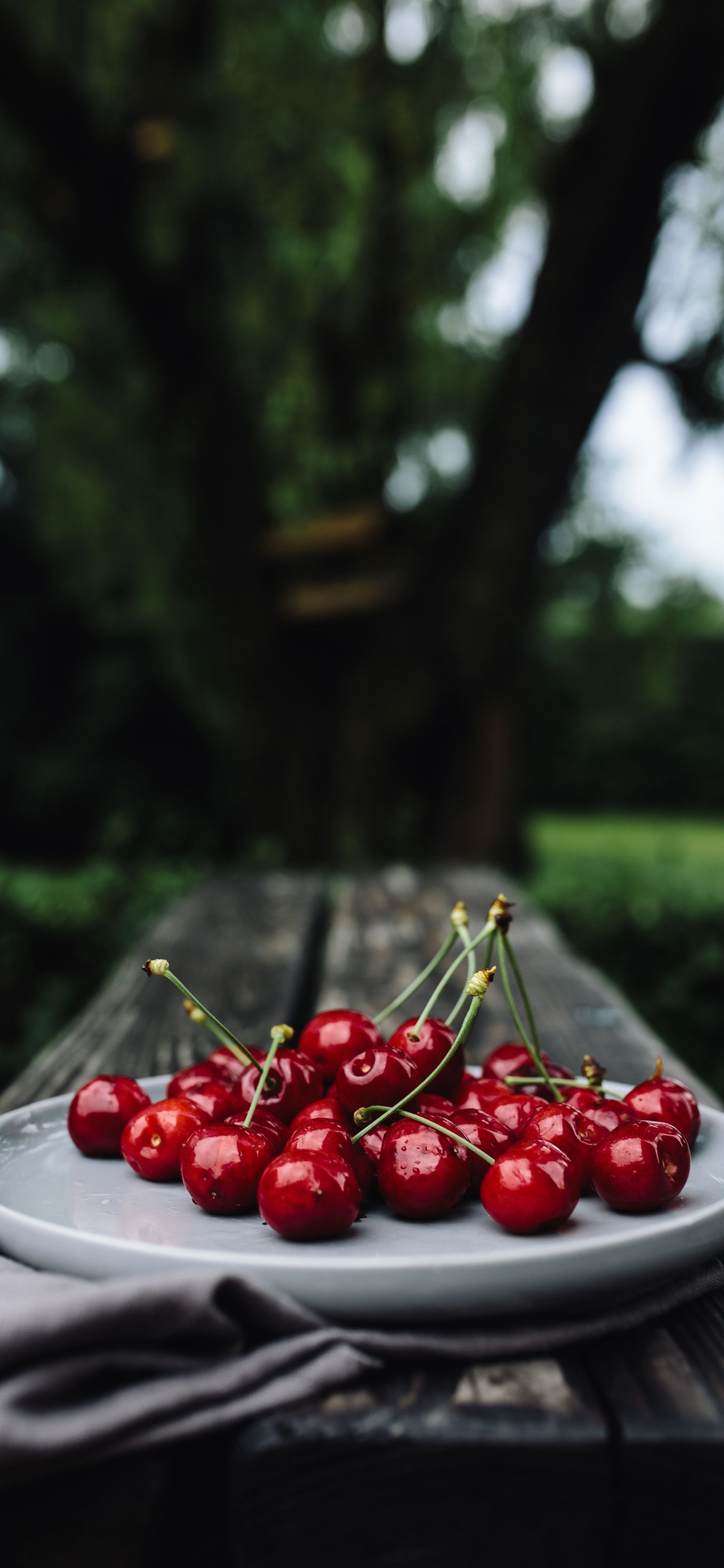 Red Cherries on White Ceramic Plate. Wallpaper in 1242x2688 Resolution
