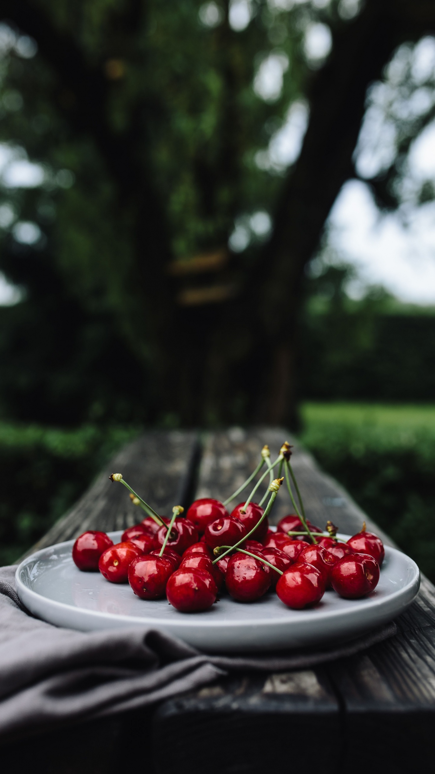 Red Cherries on White Ceramic Plate. Wallpaper in 1440x2560 Resolution