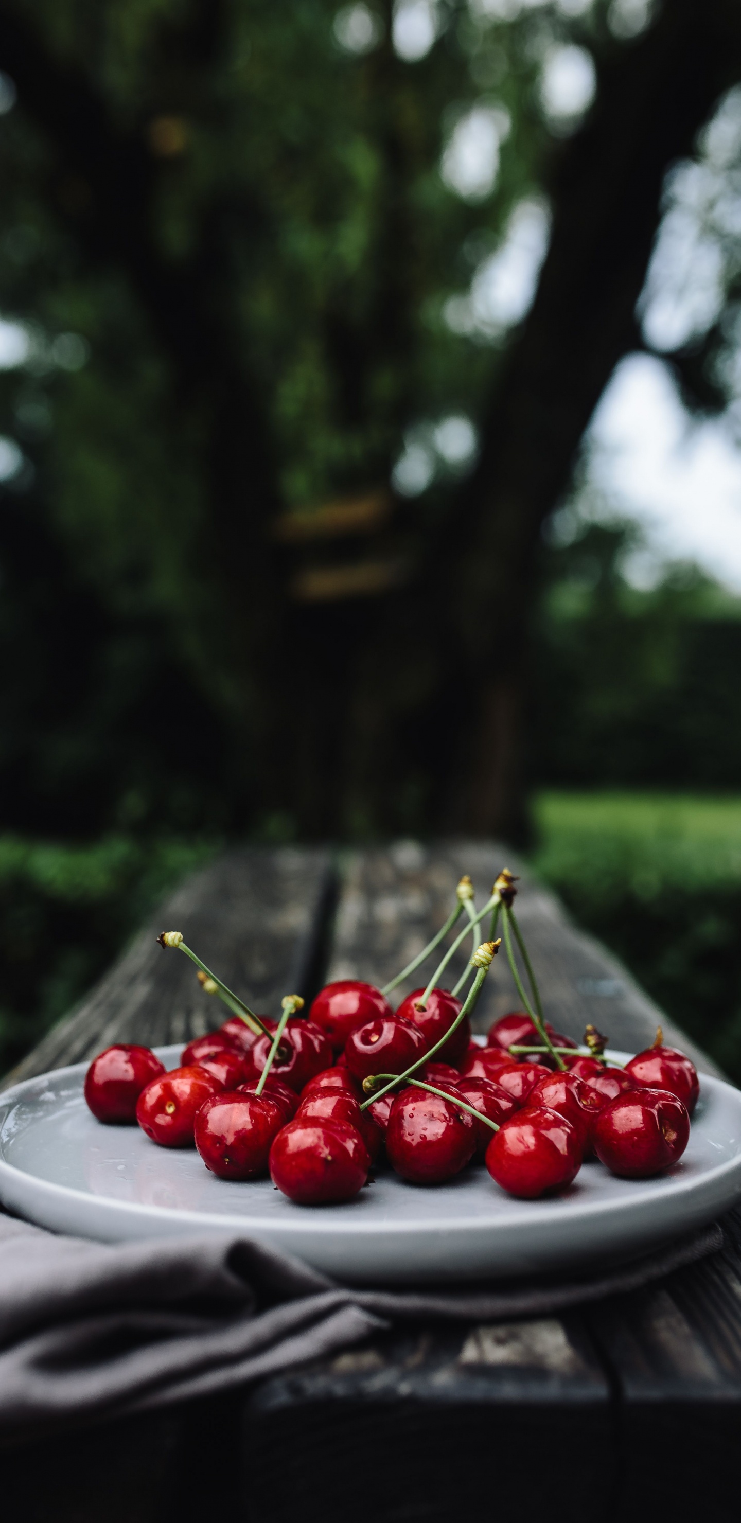 Red Cherries on White Ceramic Plate. Wallpaper in 1440x2960 Resolution