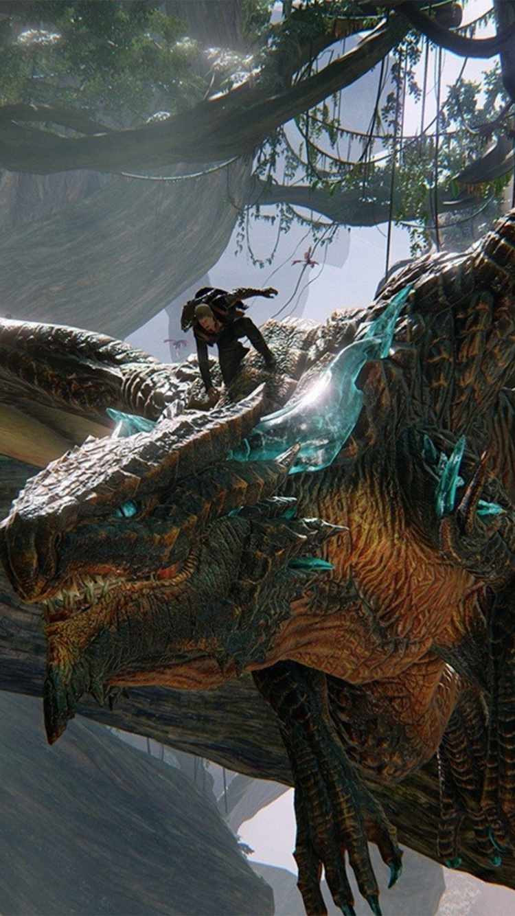 Tronc D'arbre Brun Avec de L'eau. Wallpaper in 750x1334 Resolution