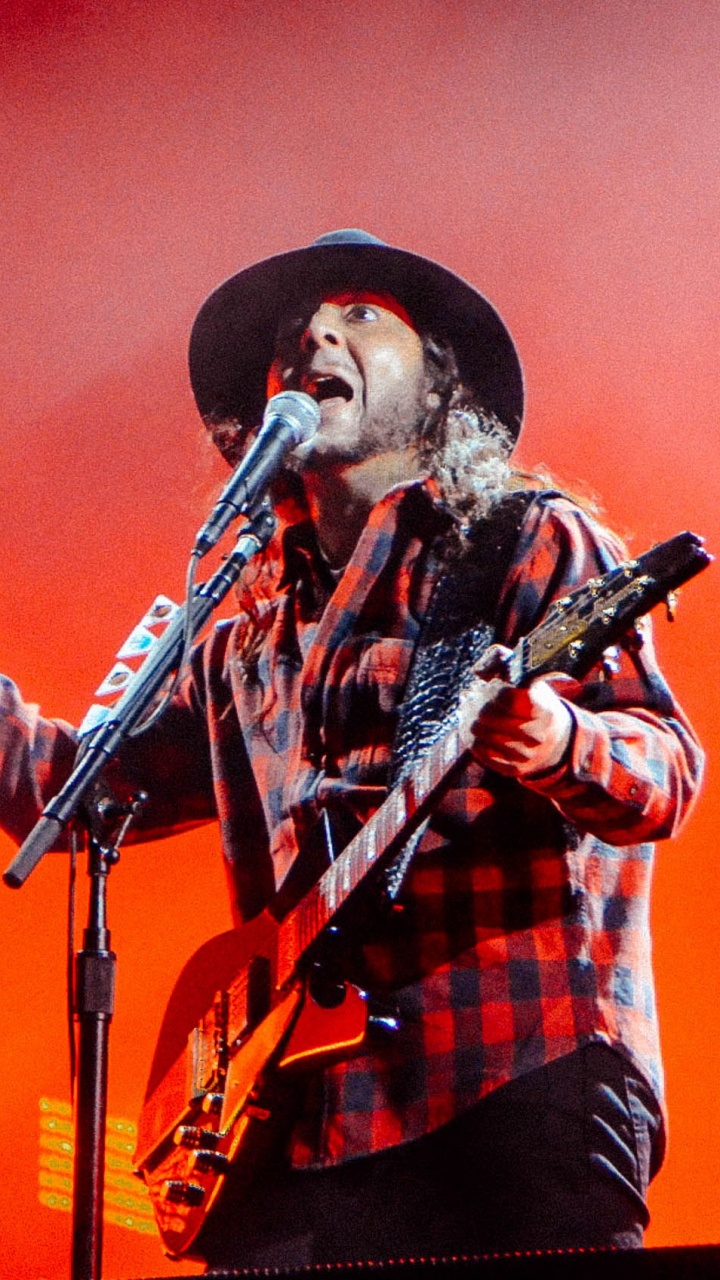 Music Artist, Park Live Festival, System Of A Down, Rock Concert, Concert. Wallpaper in 720x1280 Resolution