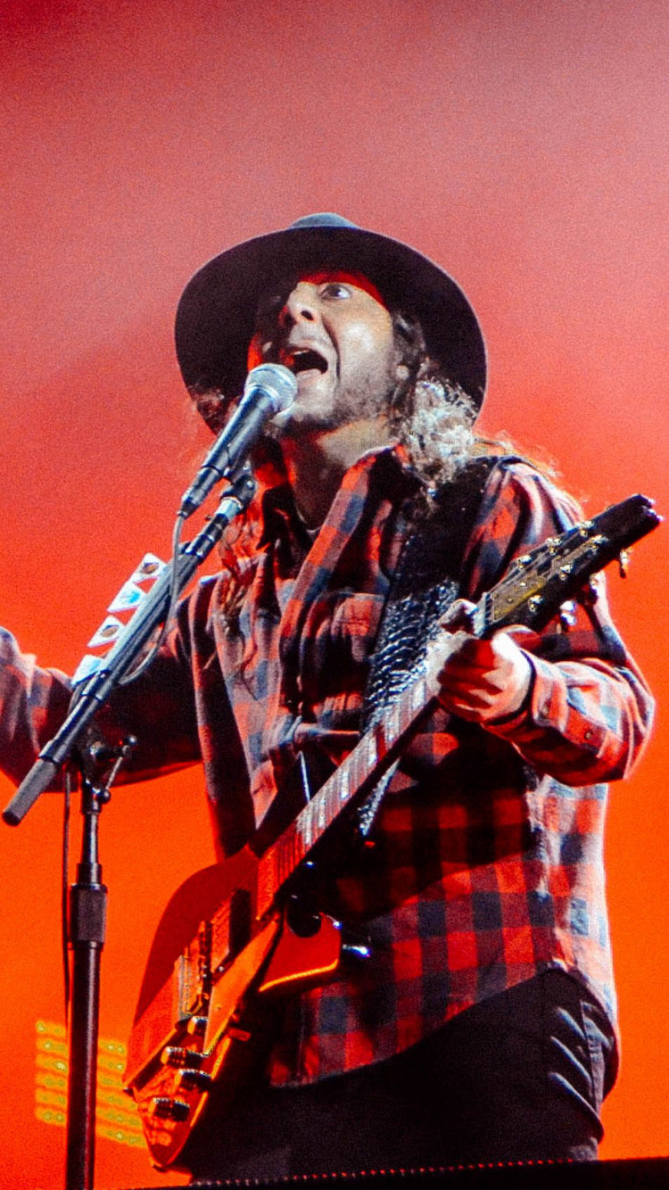 Music Artist, Park Live Festival, System Of A Down, Rock Concert, Concert. Wallpaper in 750x1334 Resolution