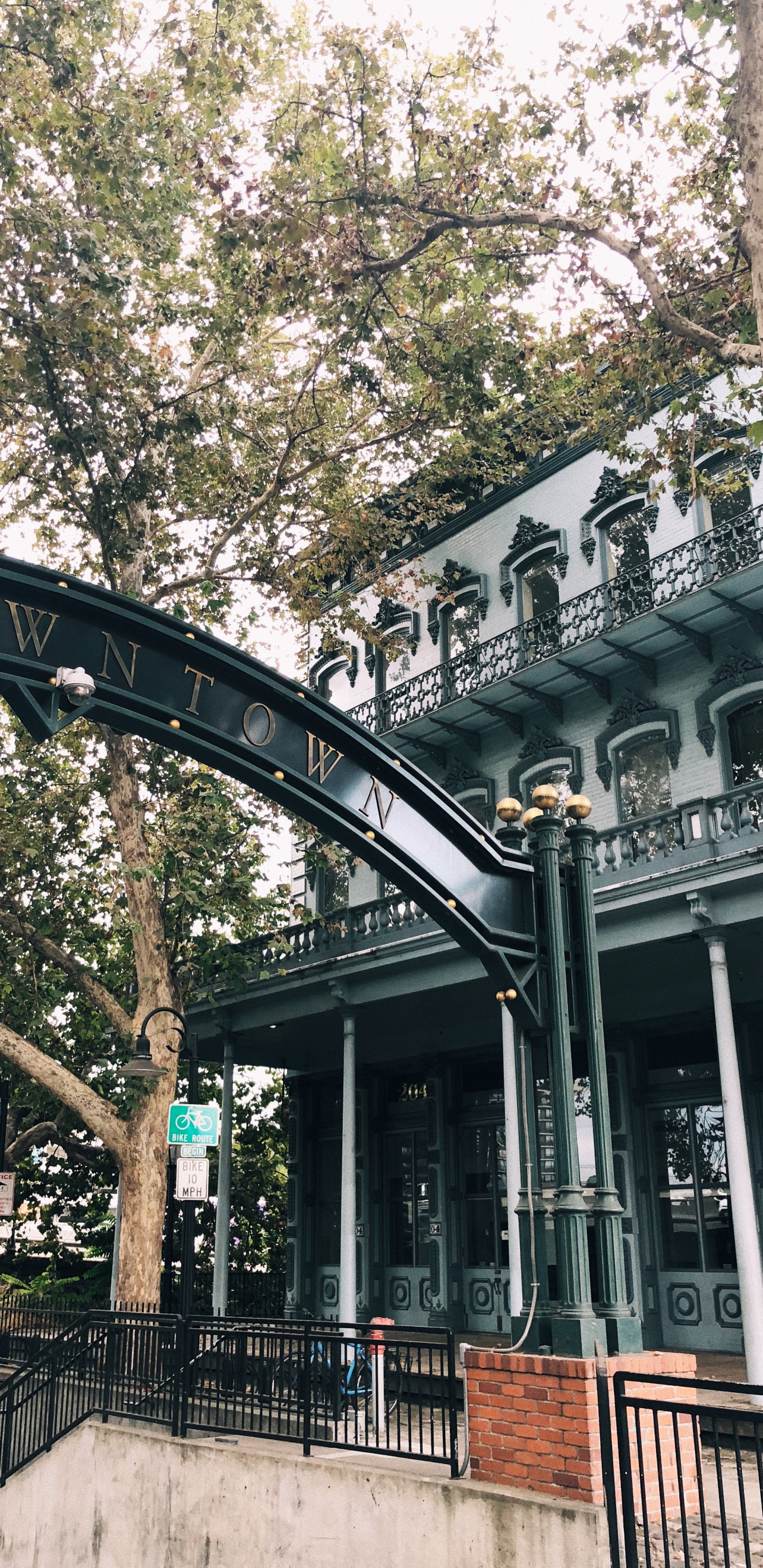 Hito, Biología, Ciencia, Sucursal, Arquitectura. Wallpaper in 1440x2960 Resolution