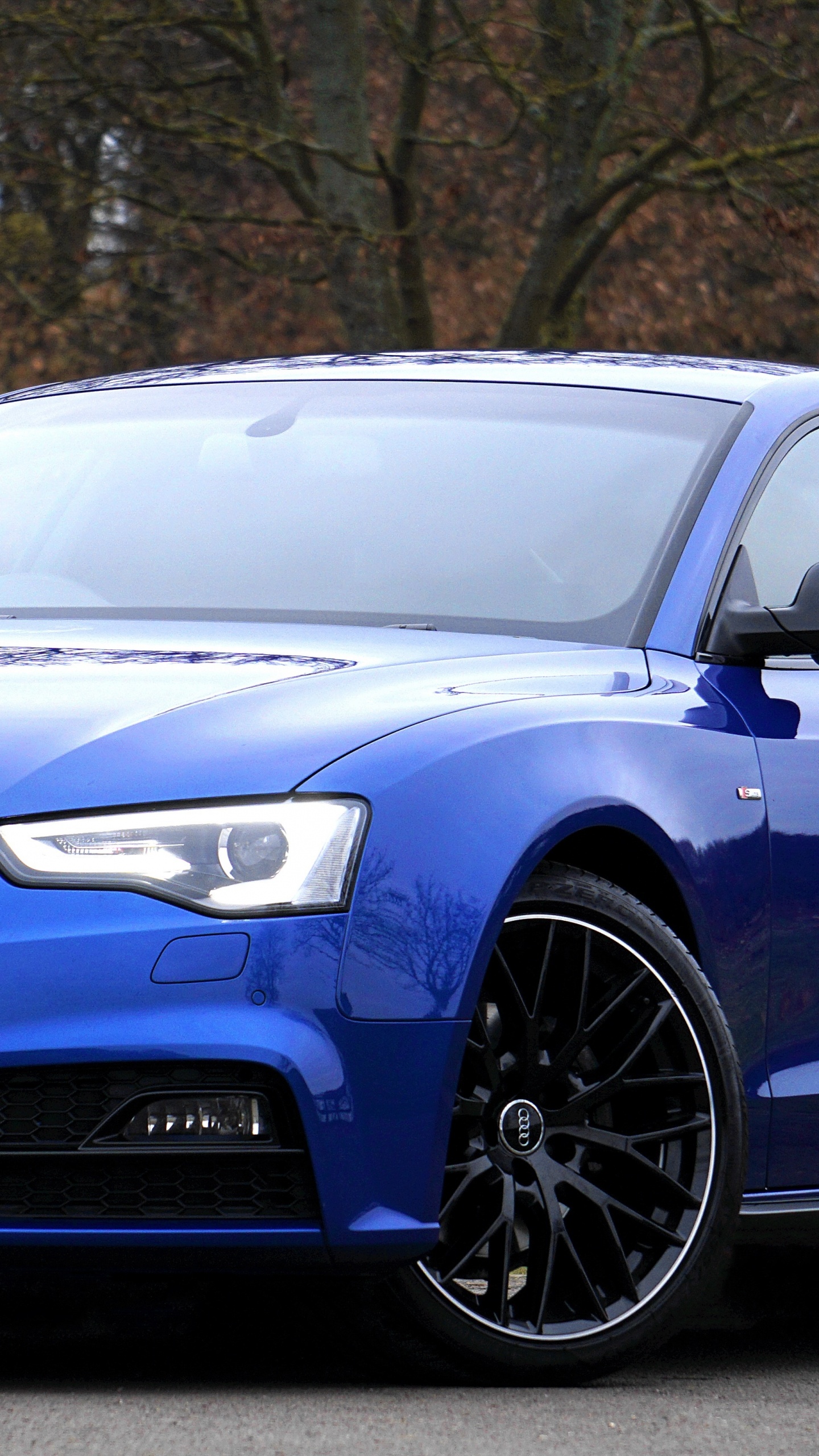 Blue Audi a 4 Coupe. Wallpaper in 1440x2560 Resolution