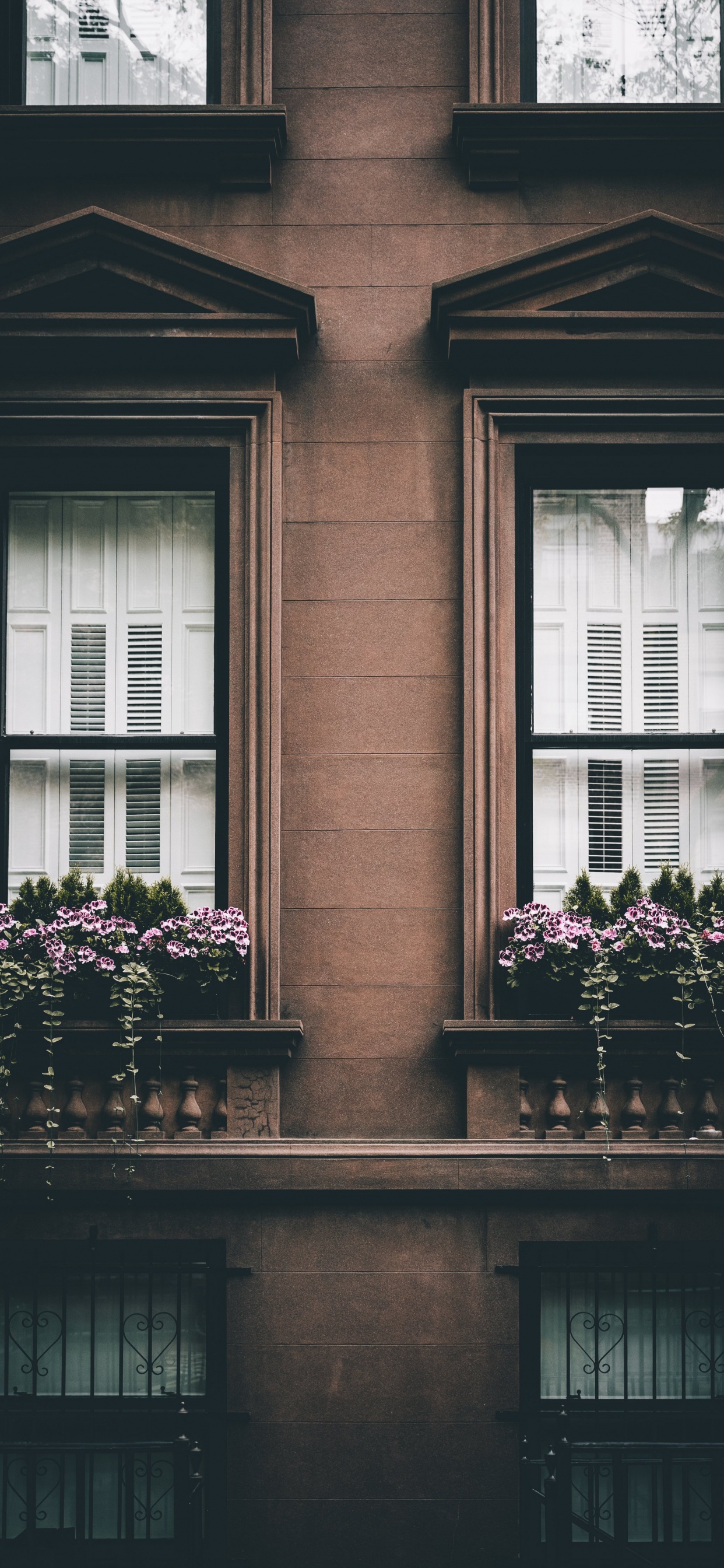 Fachada, Rosa, Ventana, Felicidad, Arquitectura. Wallpaper in 1242x2688 Resolution