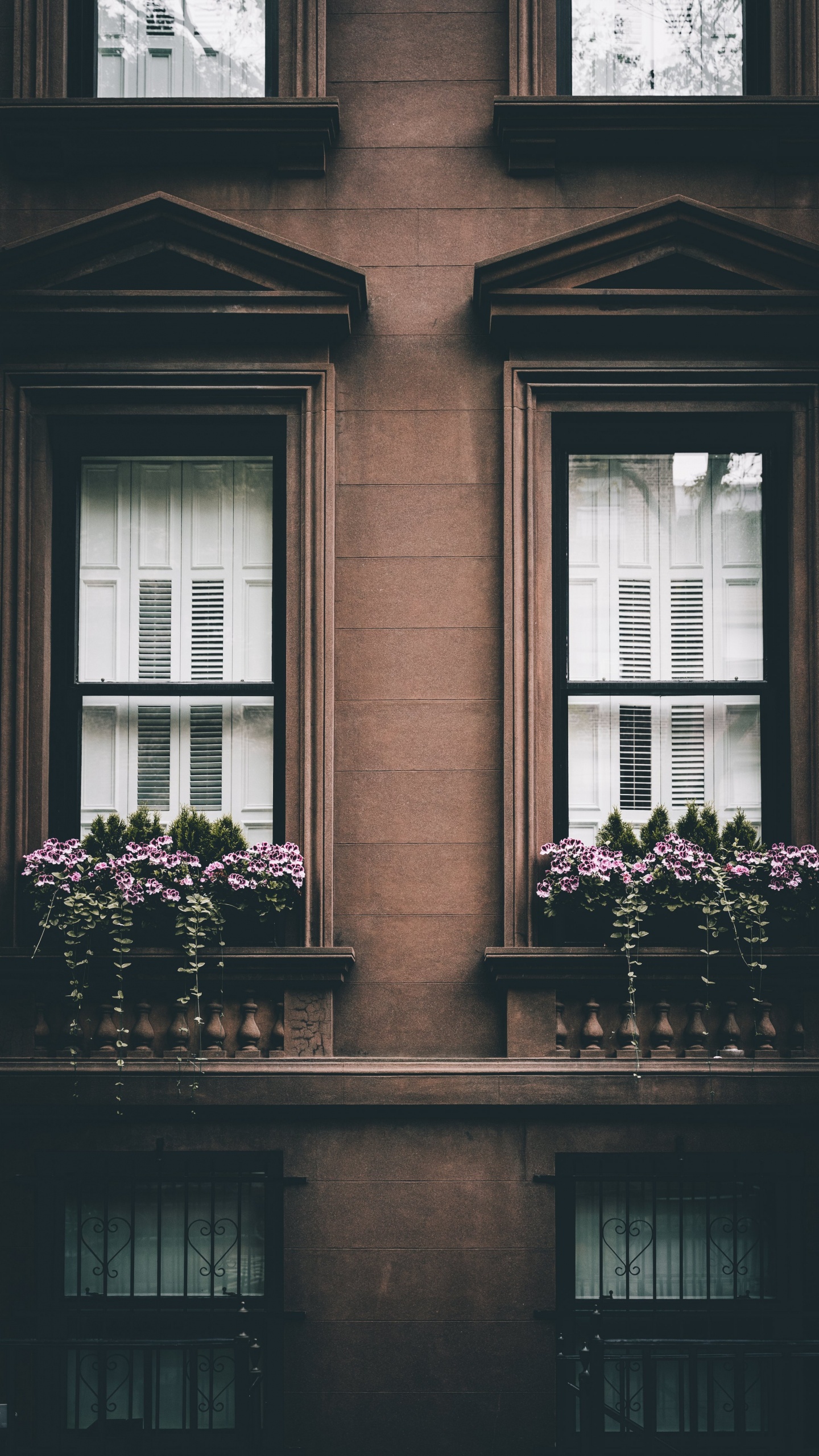 Fachada, Rosa, Ventana, Felicidad, Arquitectura. Wallpaper in 1440x2560 Resolution