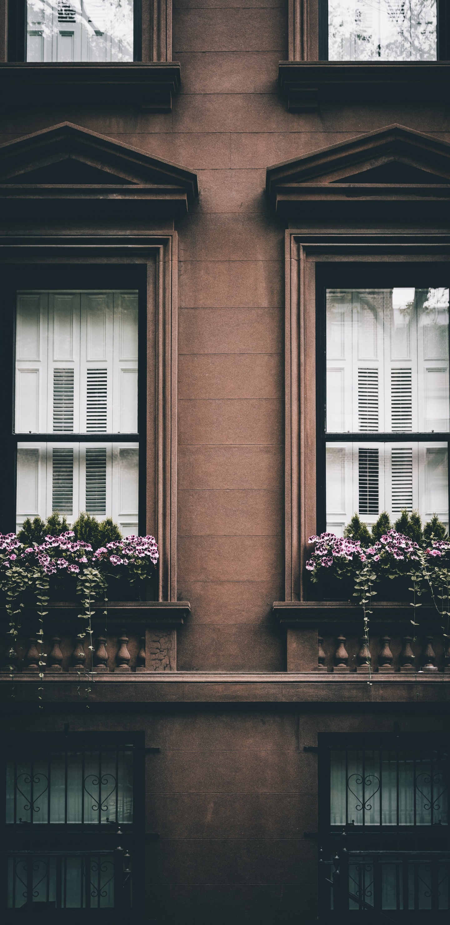 Fachada, Rosa, Ventana, Felicidad, Arquitectura. Wallpaper in 1440x2960 Resolution