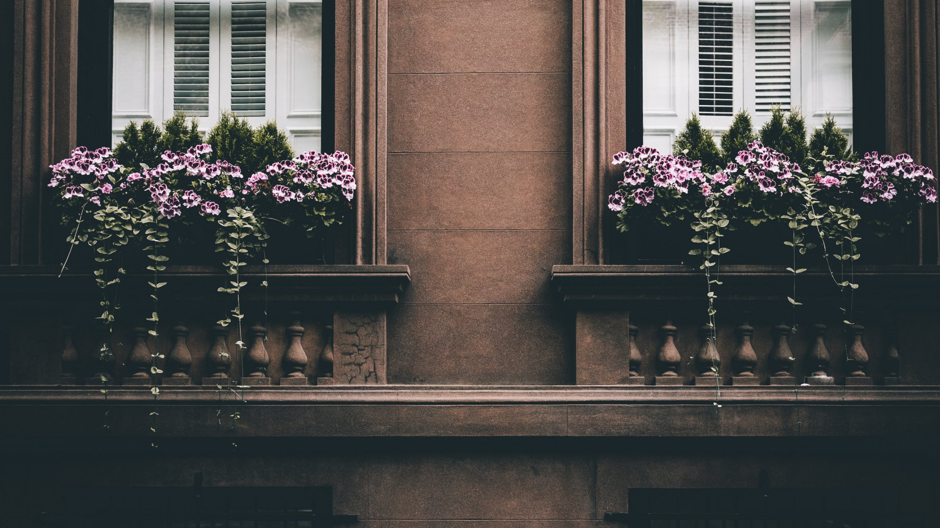 Façade, Pink, Fenêtre, Bonheur, Mur. Wallpaper in 1920x1080 Resolution