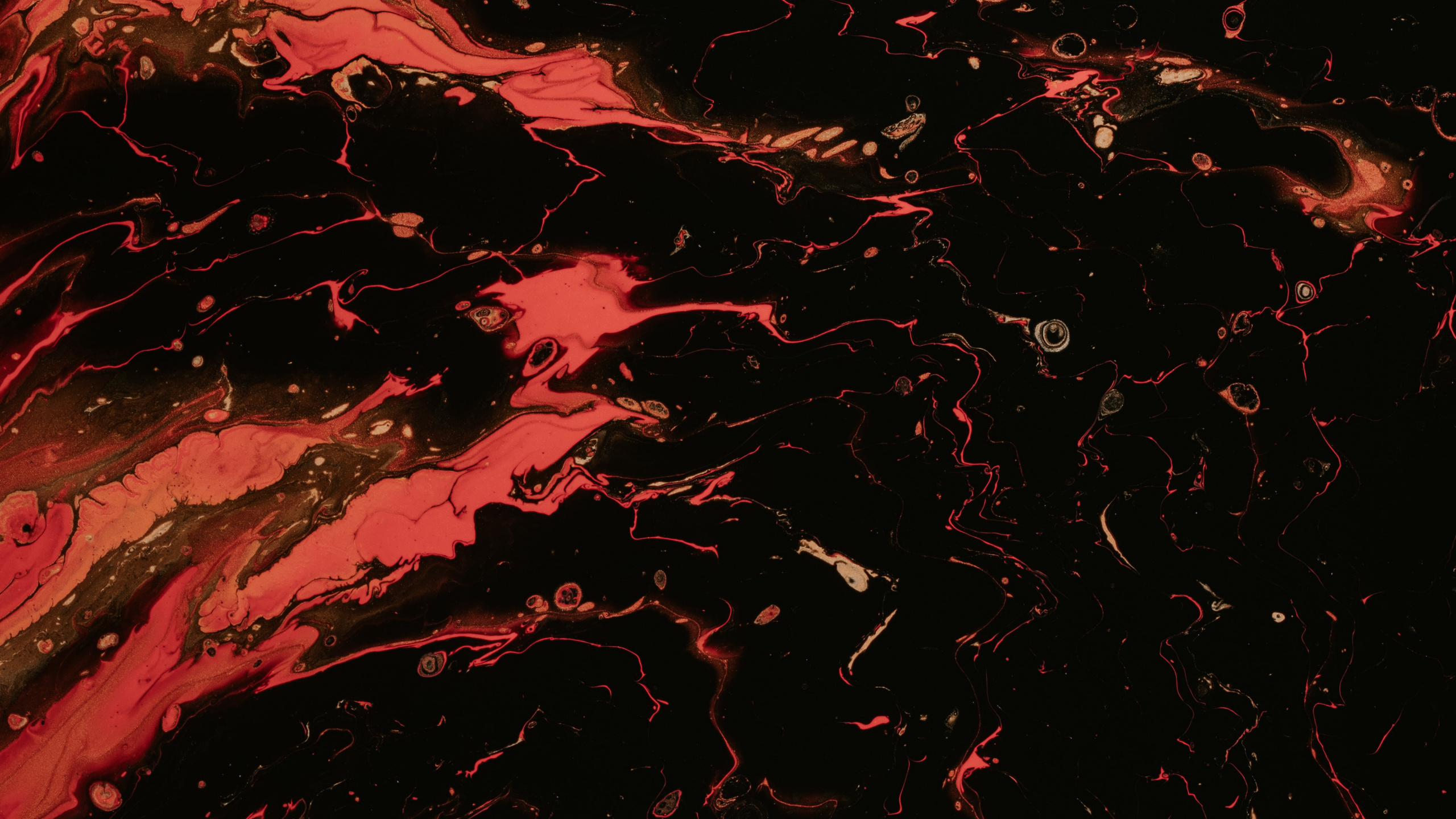 Pintura Abstracta Roja y Negra. Wallpaper in 2560x1440 Resolution