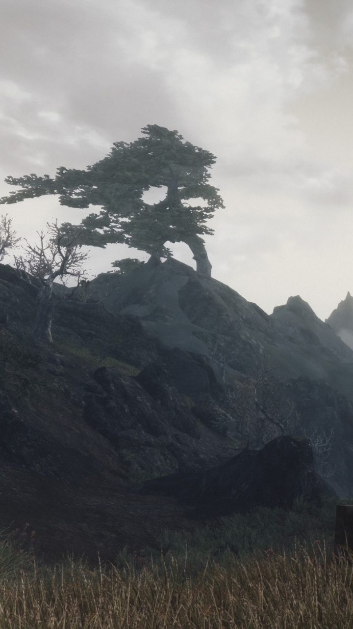 Grüne Wiese in Der Nähe Des Berges Unter Bewölktem Himmel Tagsüber Sky. Wallpaper in 720x1280 Resolution