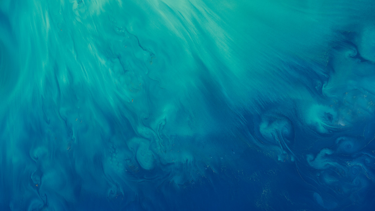 ZTE, ZTE MiFavor, Agua, Manzana, Azul. Wallpaper in 1280x720 Resolution