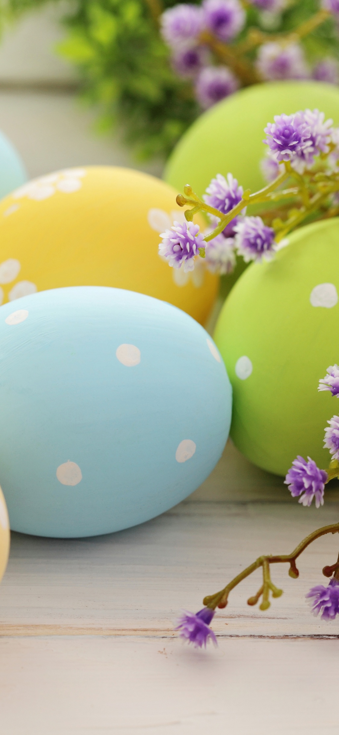 Easter Bunny, Easter Egg, Easter, Illustration, Egg Hunt. Wallpaper in 1125x2436 Resolution