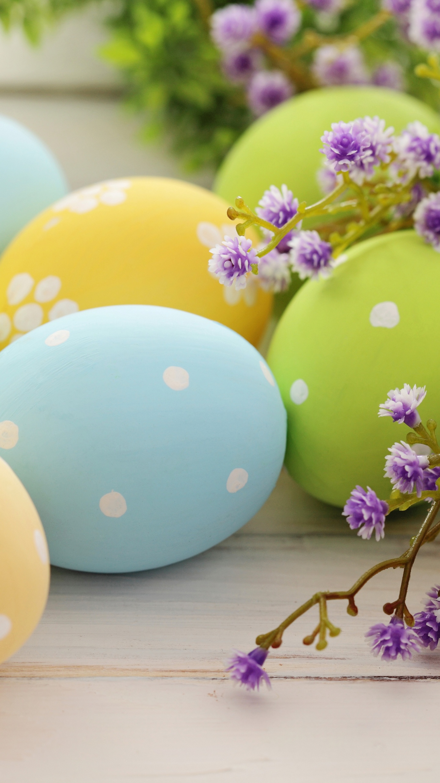 Easter Bunny, Easter Egg, Easter, Illustration, Egg Hunt. Wallpaper in 1440x2560 Resolution