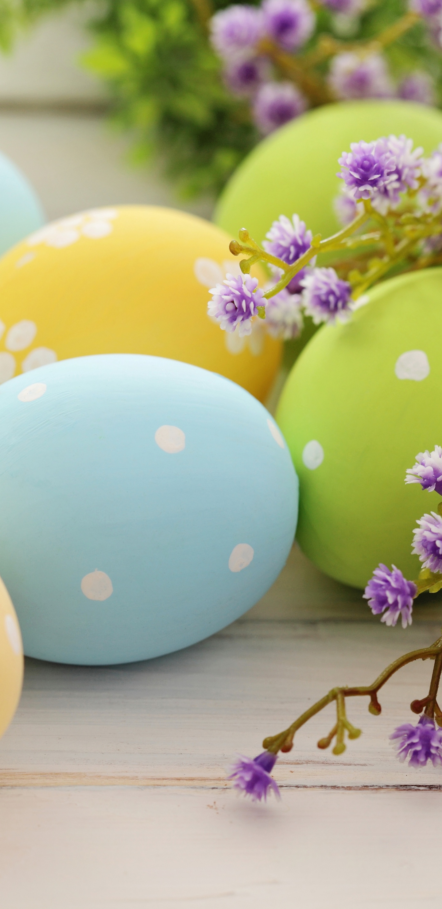 Easter Bunny, Easter Egg, Easter, Illustration, Egg Hunt. Wallpaper in 1440x2960 Resolution