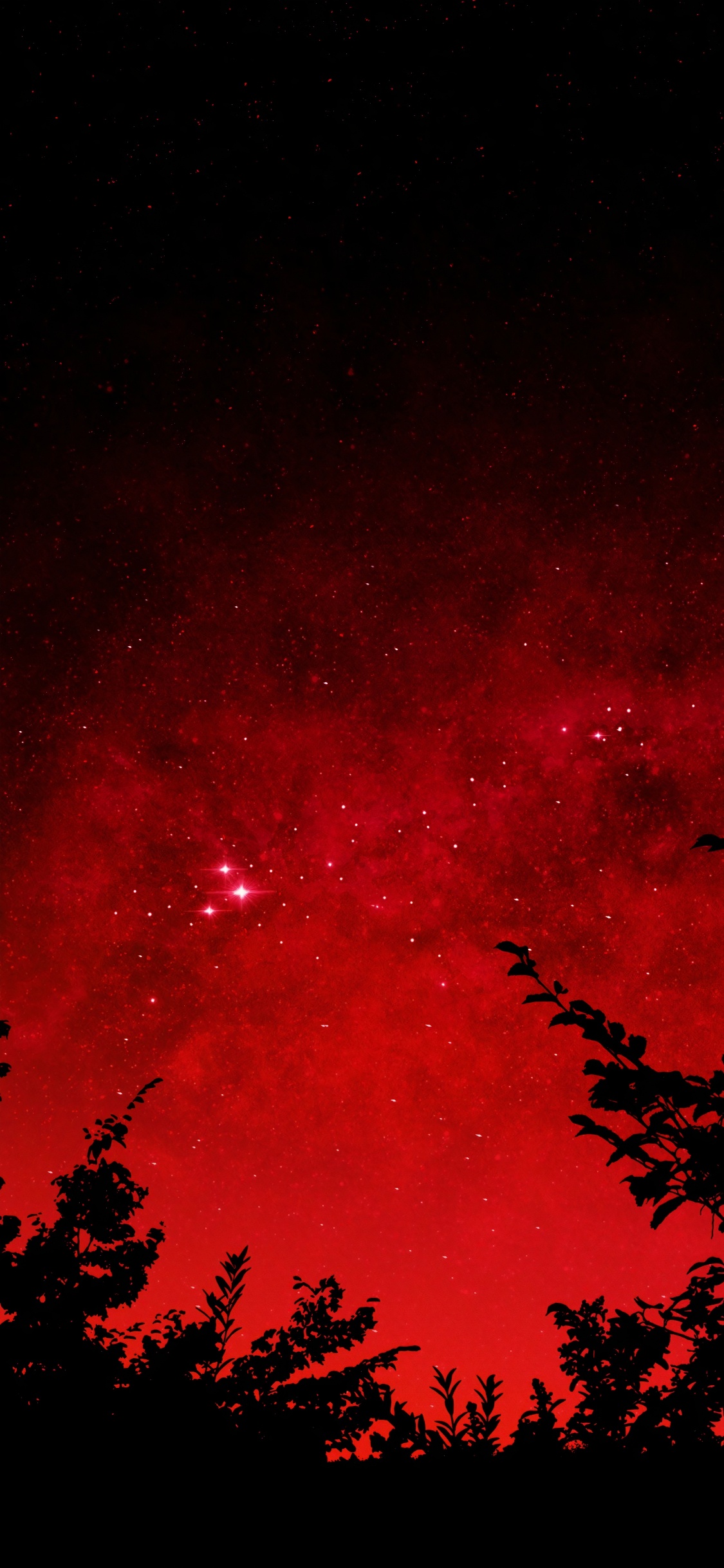 剪影, 植被, 矢量图形, 绘画, 气氛 壁纸 1125x2436 允许